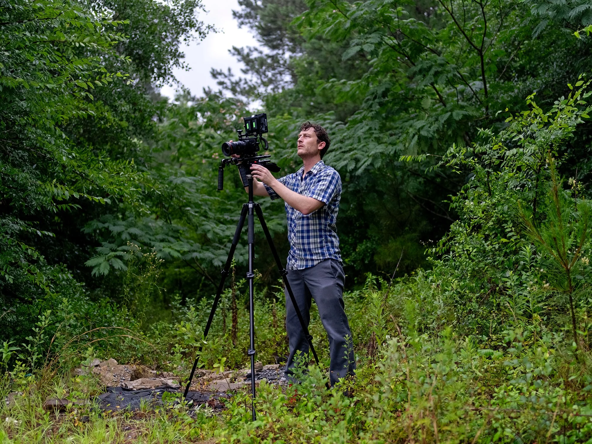 Director, Adam Forrester