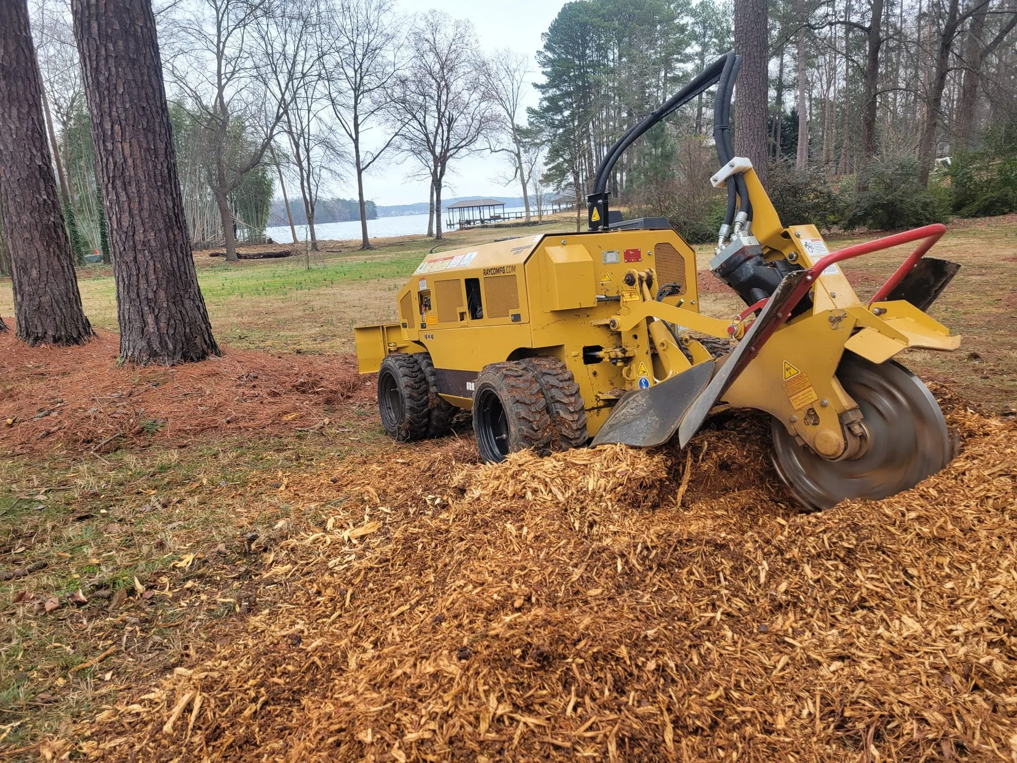Professional stump grinding and tree stump removal in Union County NC clearing residential yard safely by Brothers Tree Service