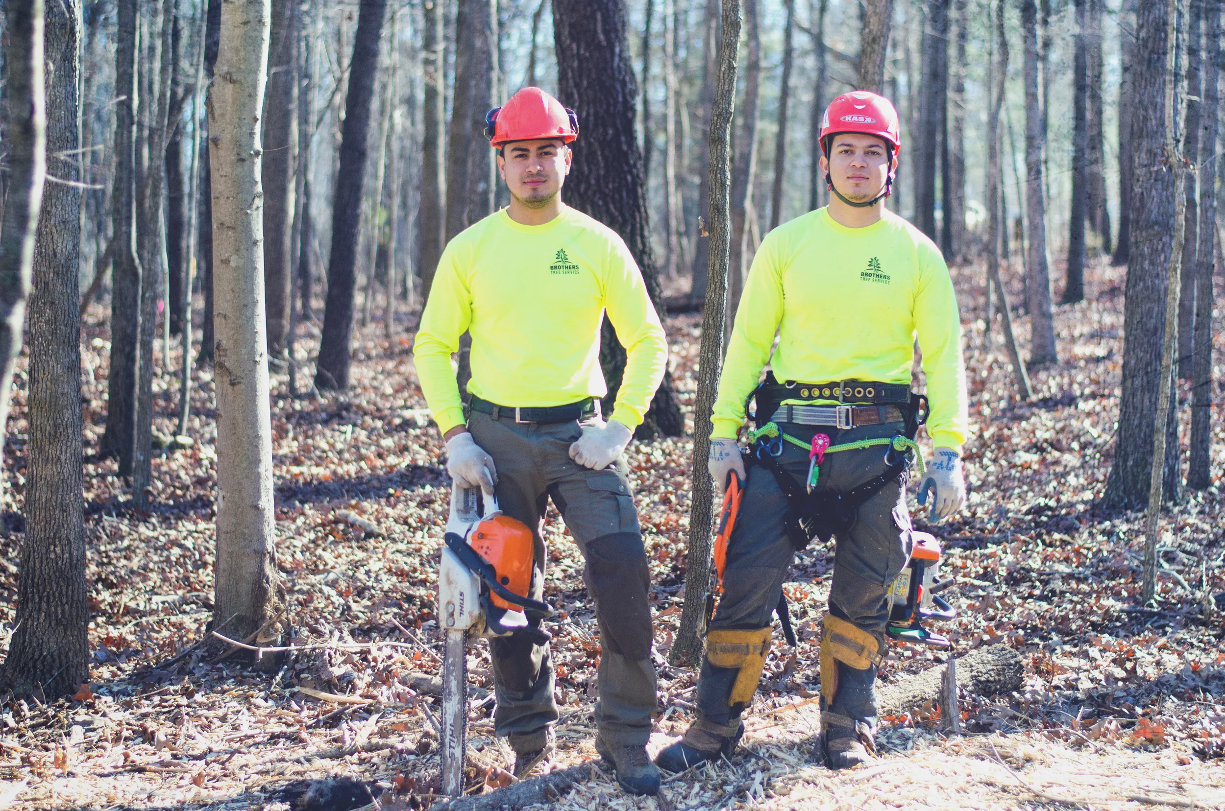 Two tree industry workers standing in a forest, wearing neon yellow shirts, safety helmets, and harnesses, with chainsaws in hand.