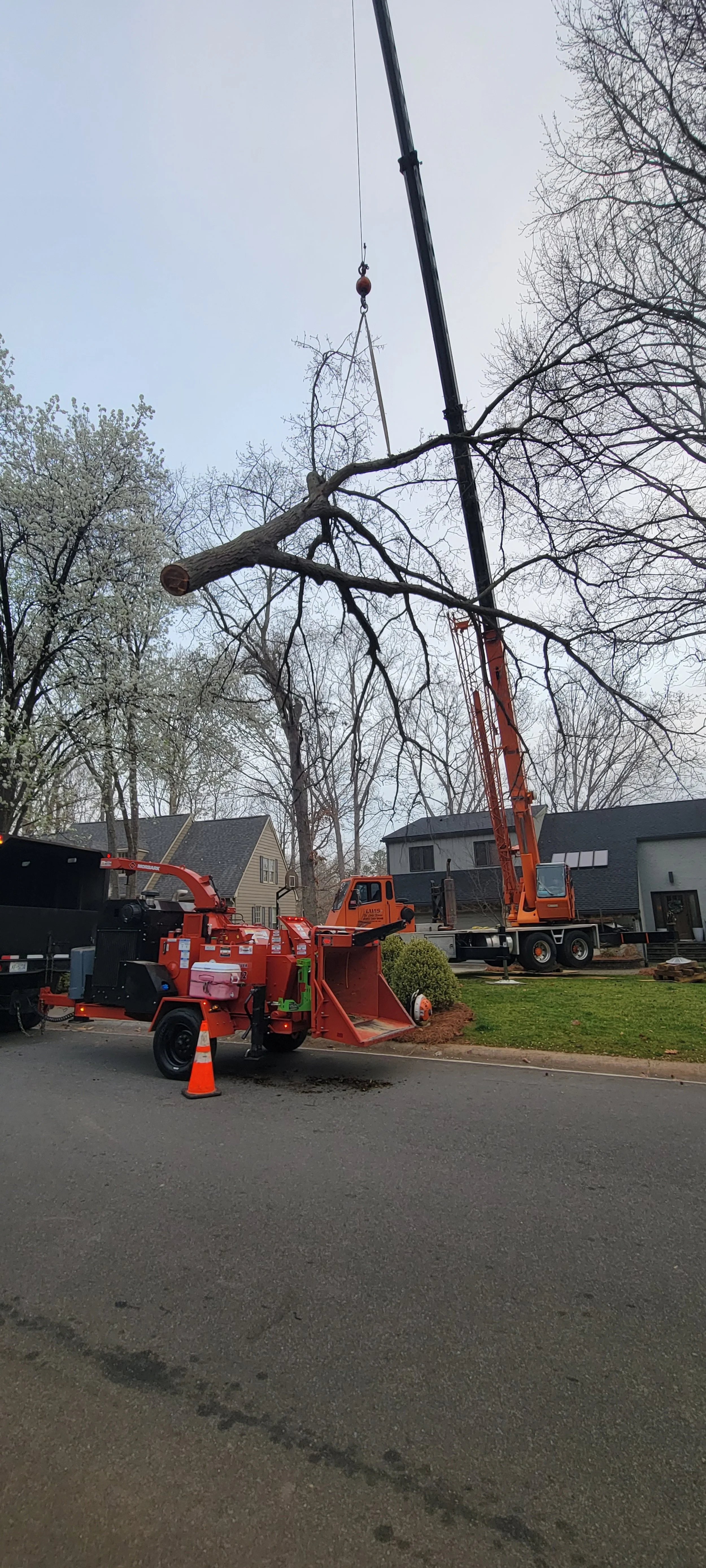 Professional tree removal in Union County NC by Brothers Tree Service using advanced equipment for safe tree cutting