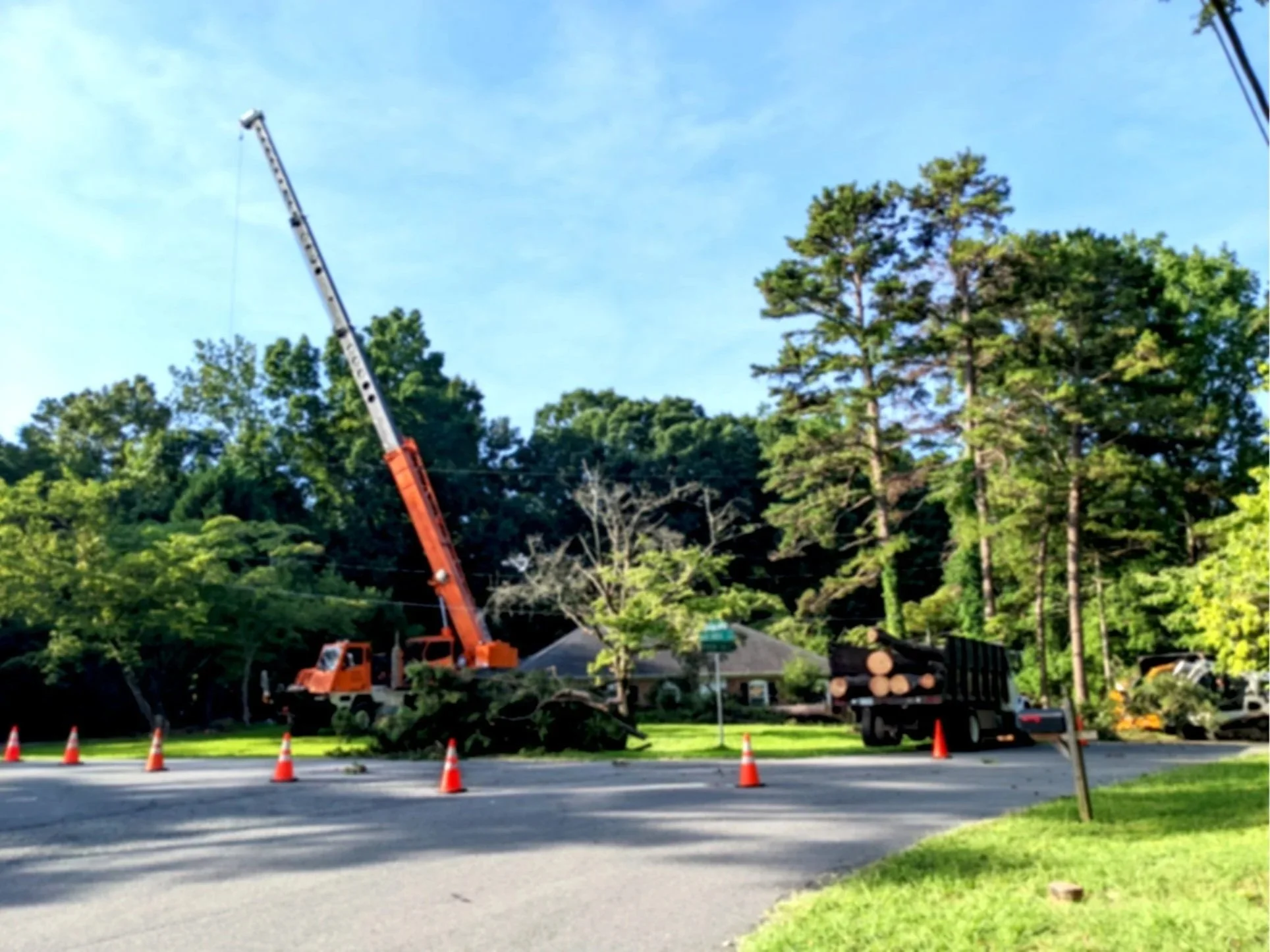 Tree service truck with crane removing a large tree branch from a residential street, surrounded by orange safety cones, with trees and a house in the background.