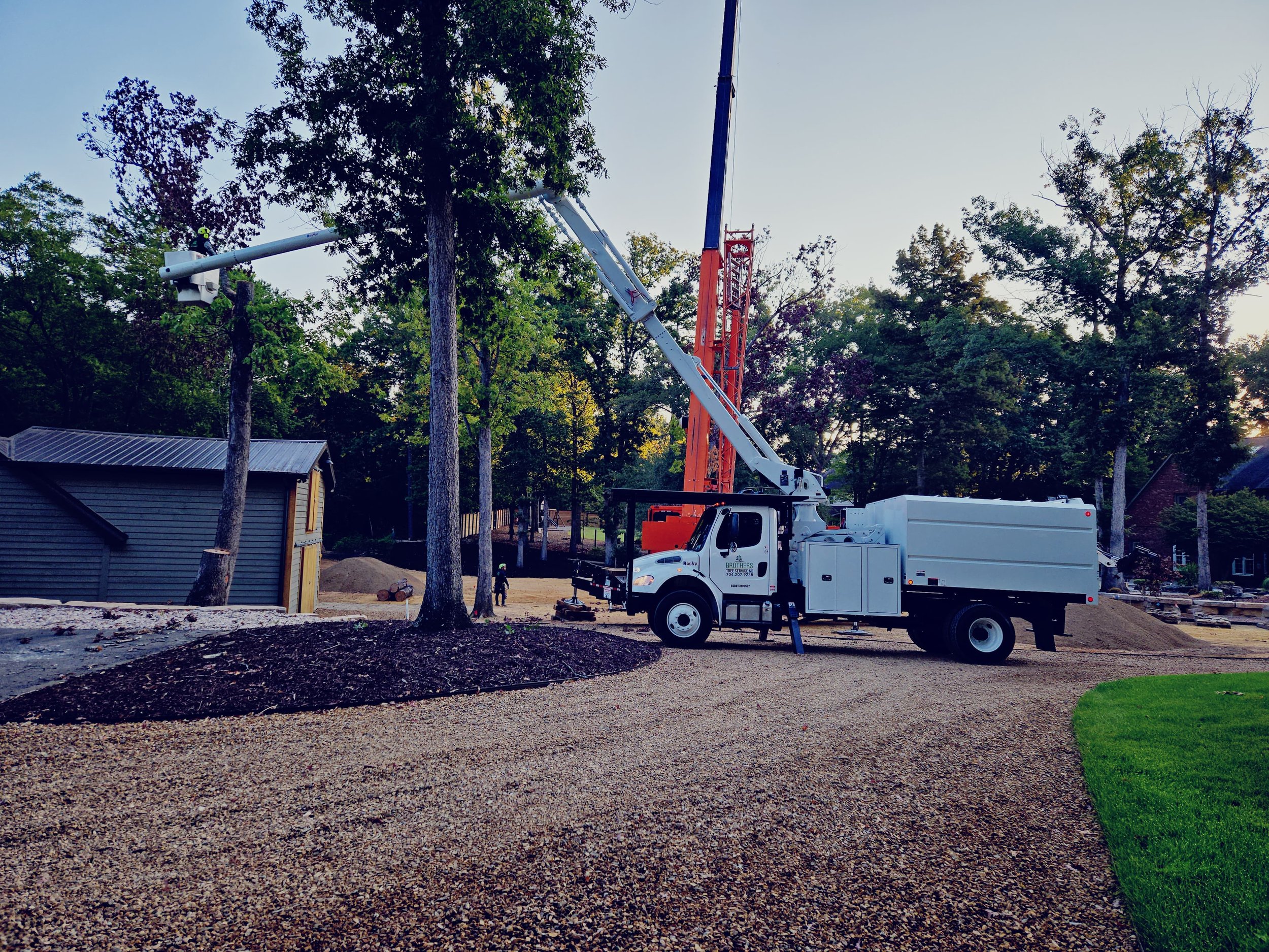 Bucket truck tree service for safe trimming near homes in Matthews NC