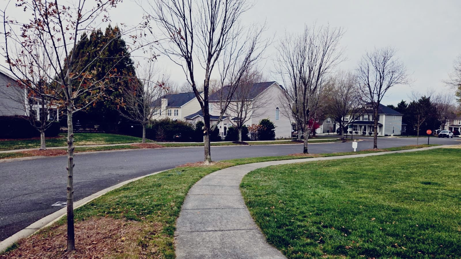 HOA tree removal services in Charlotte NC and Union County NC by Brothers Tree Service NC LLC