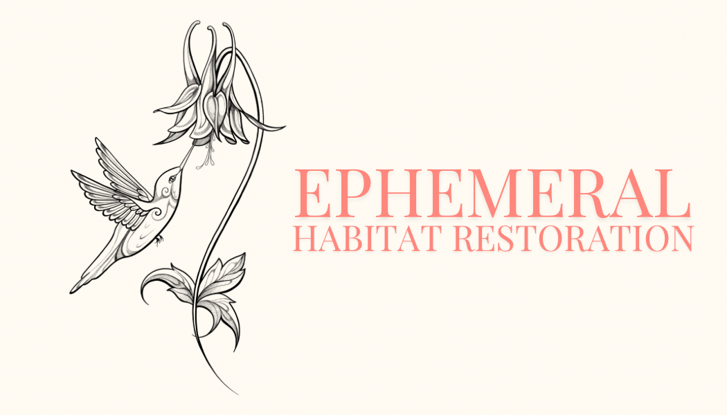 Ephemeral Habitat Restoration