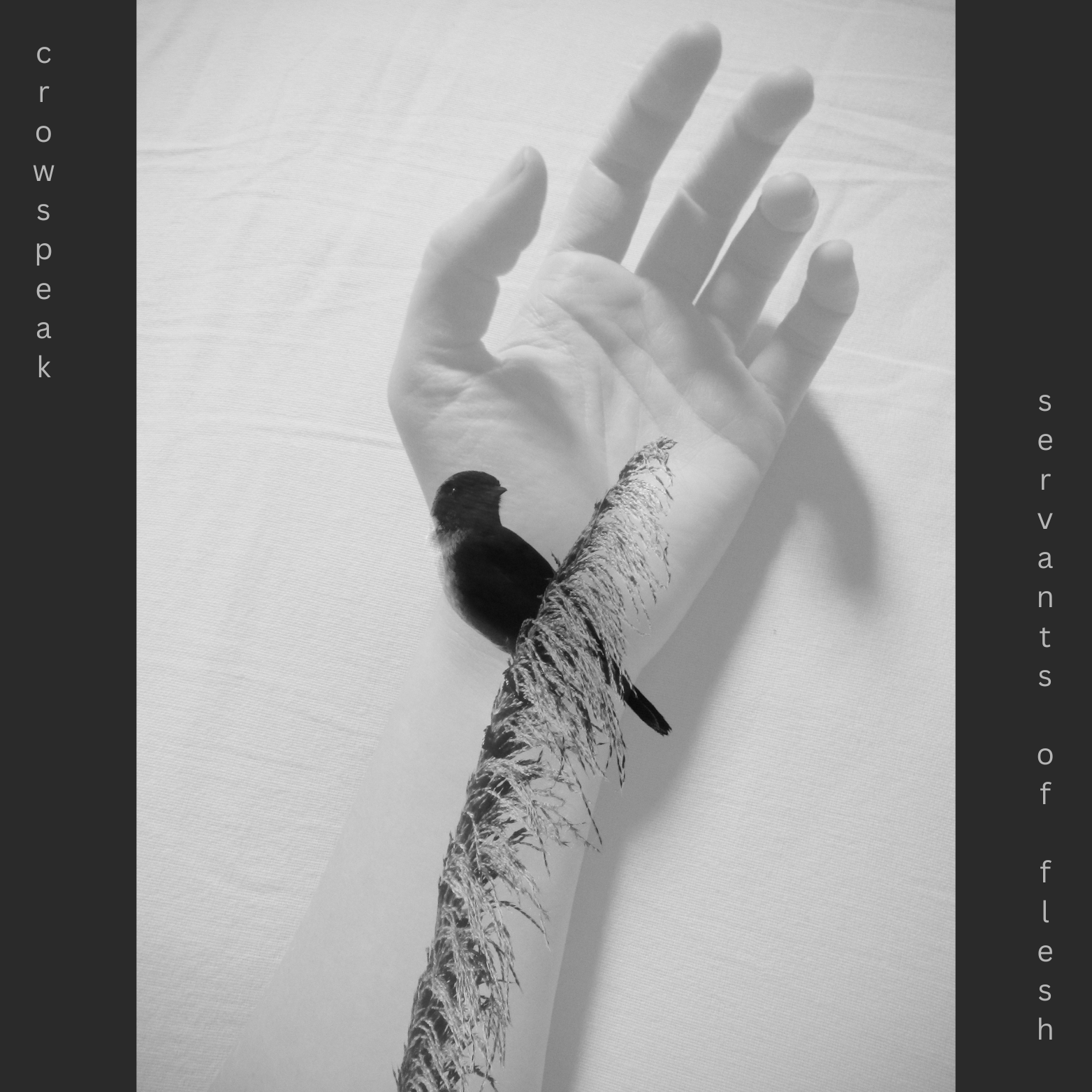 servants of flesh - digital download [WAV] - EP