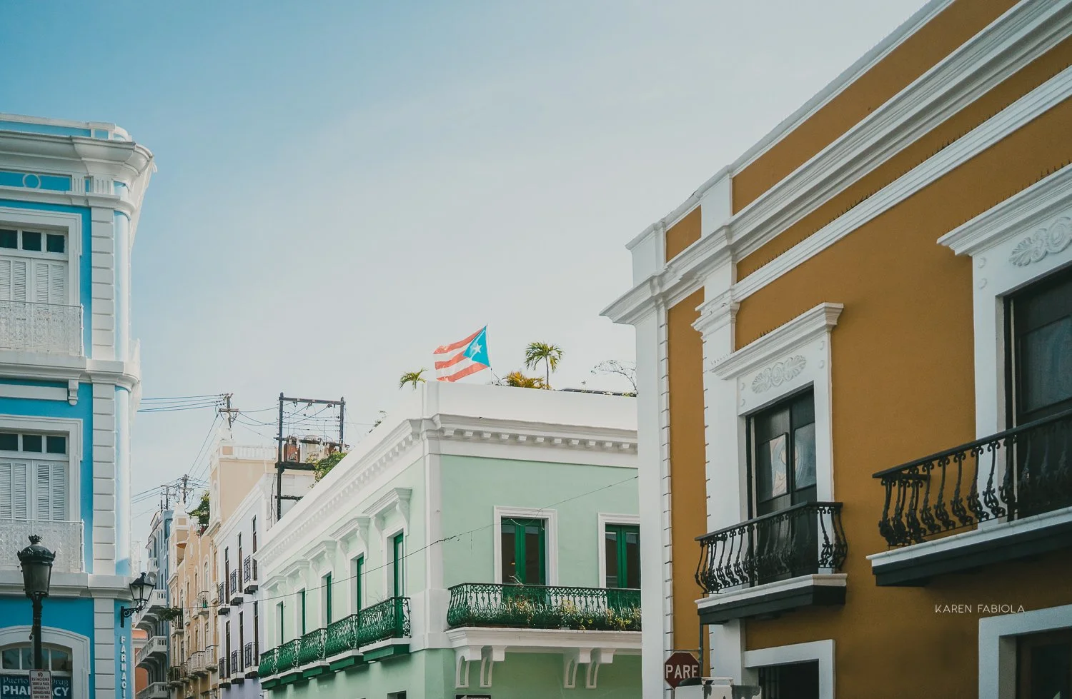 Puerto Rico y su Resiliencia , visto por una boricua en la diaspora