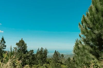 En un jurutungo de Puerto Rico