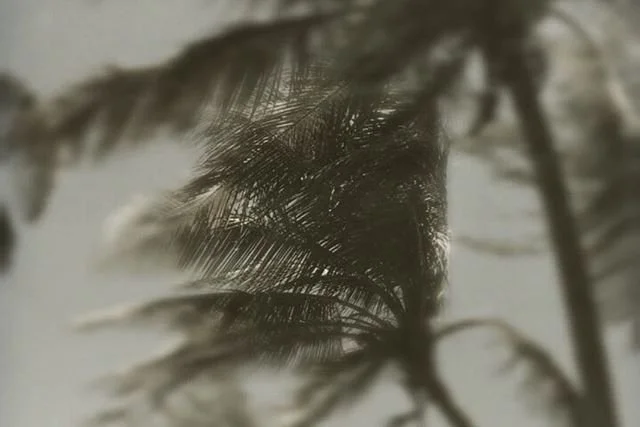 Puerto Rico y sus rincones