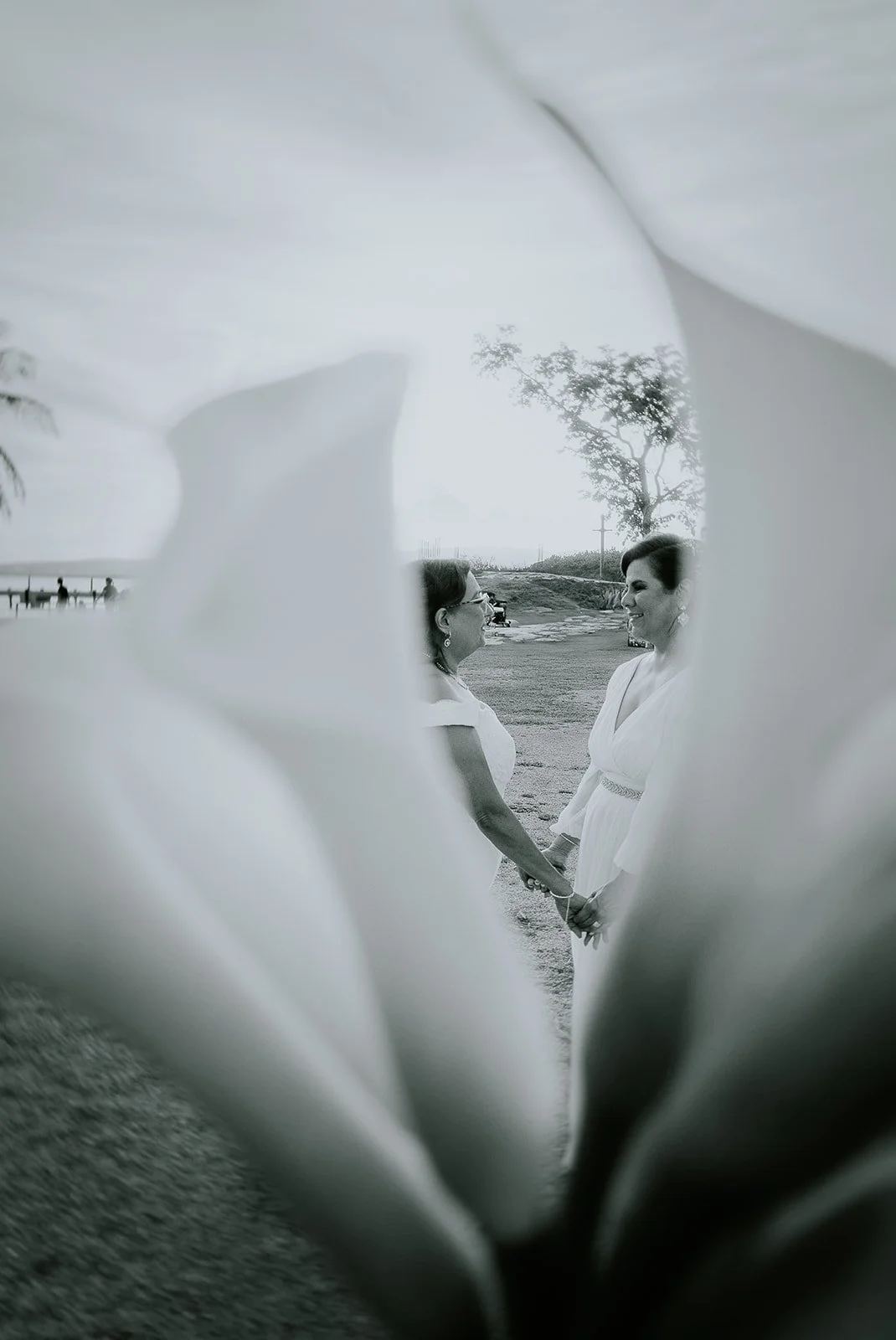 Intimate Wedding in Ponce, Puerto Rico