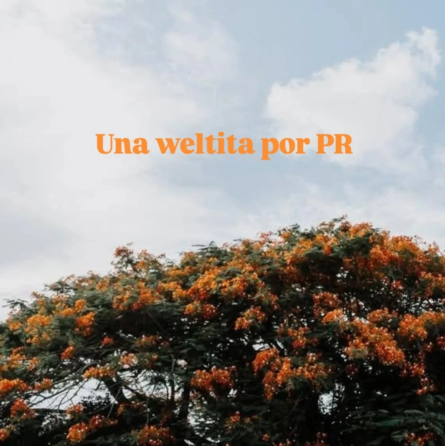 Puerto Rico Vacation Photos