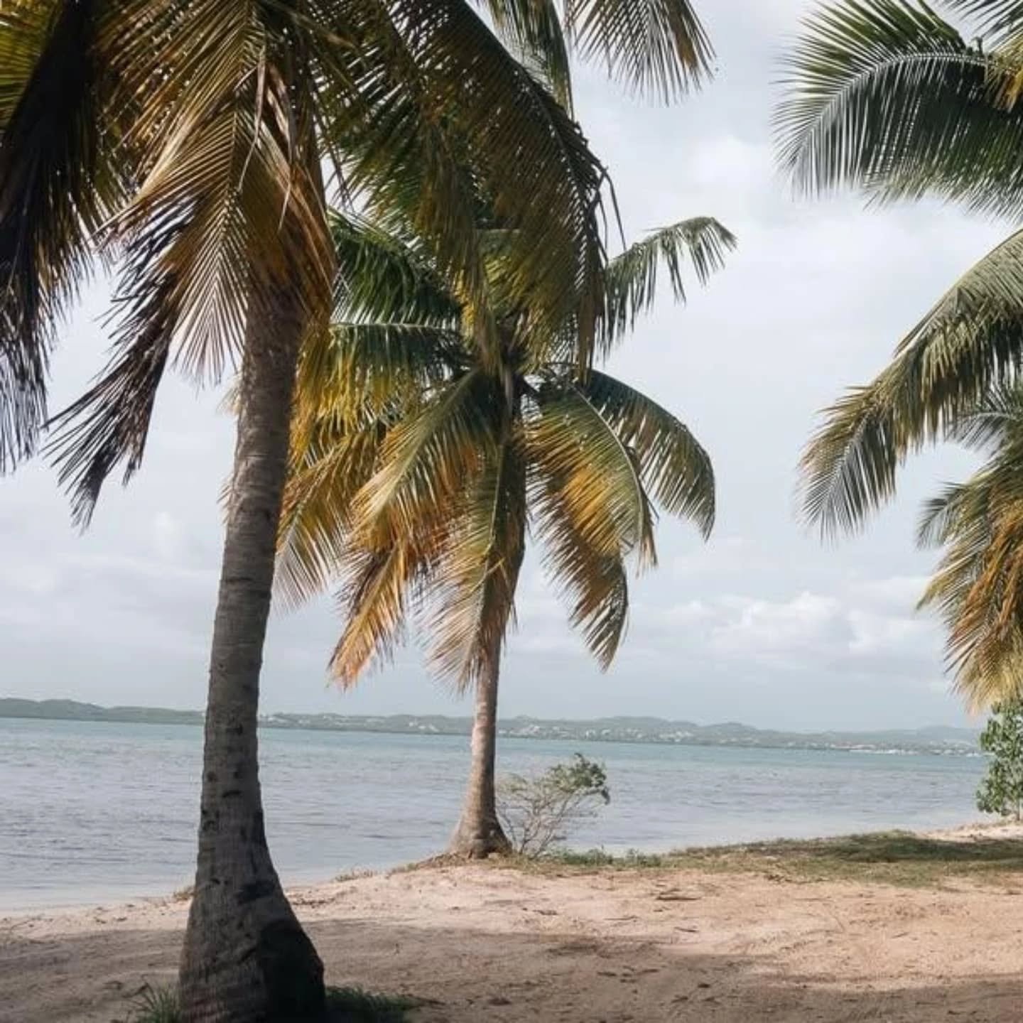 Los Pozos beach is one of cabo rojo puerto rico hidden spots perfect for vacation photos by Karen Fabiola Photo