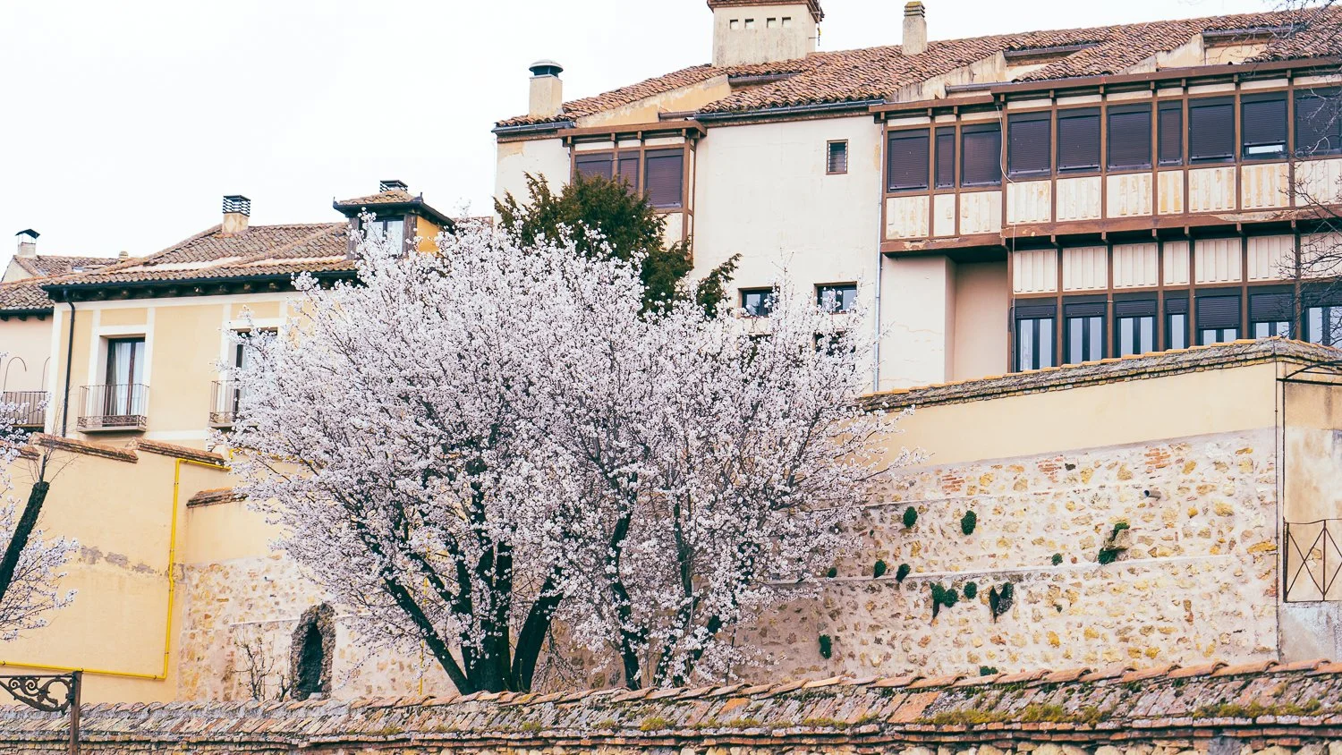  Karen Fabiola Photo - Emotive Photographer 