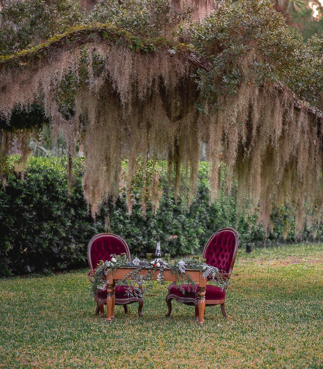 Hiring a Wedding Photographer