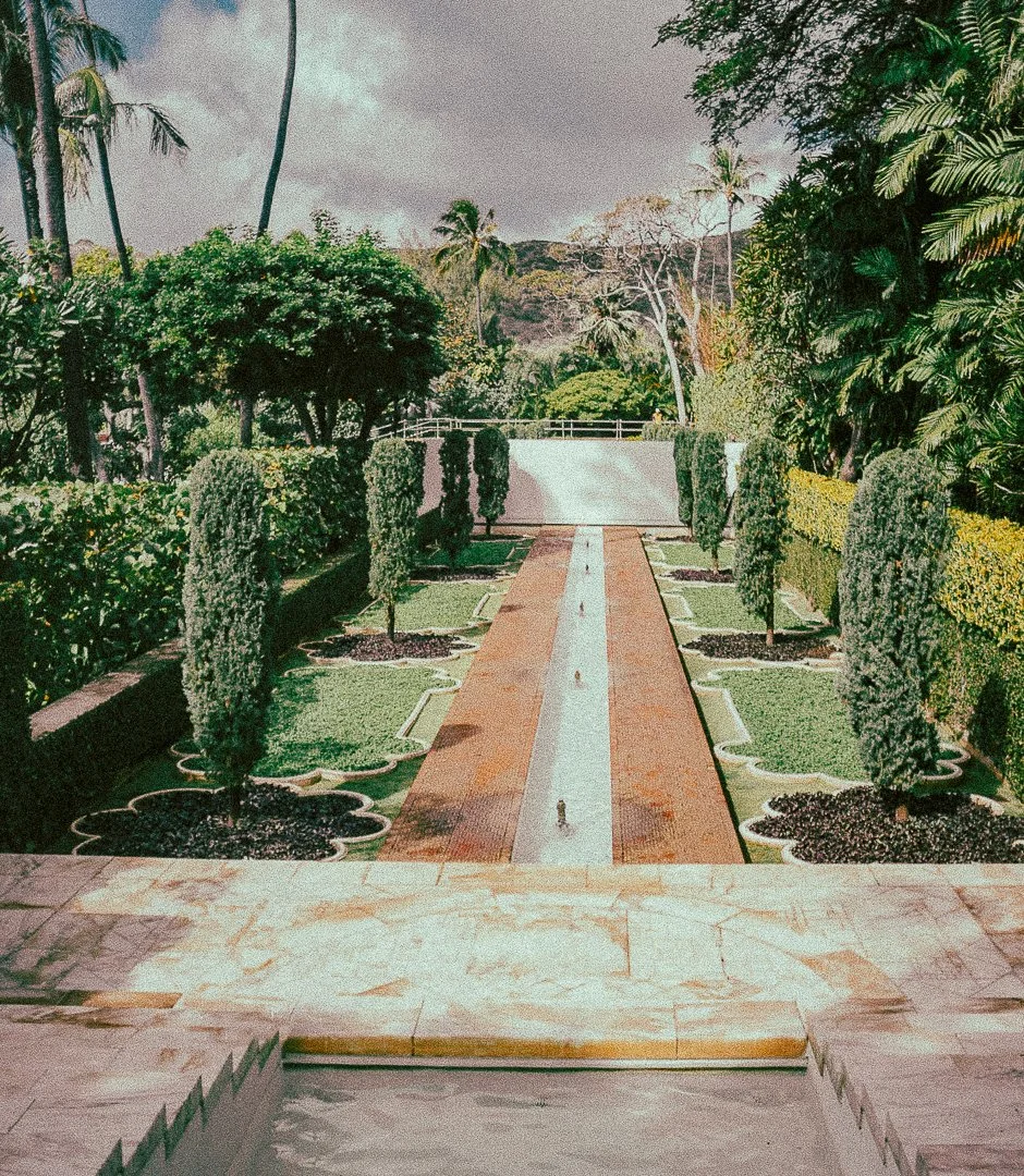  Nuestro “Forever Home”