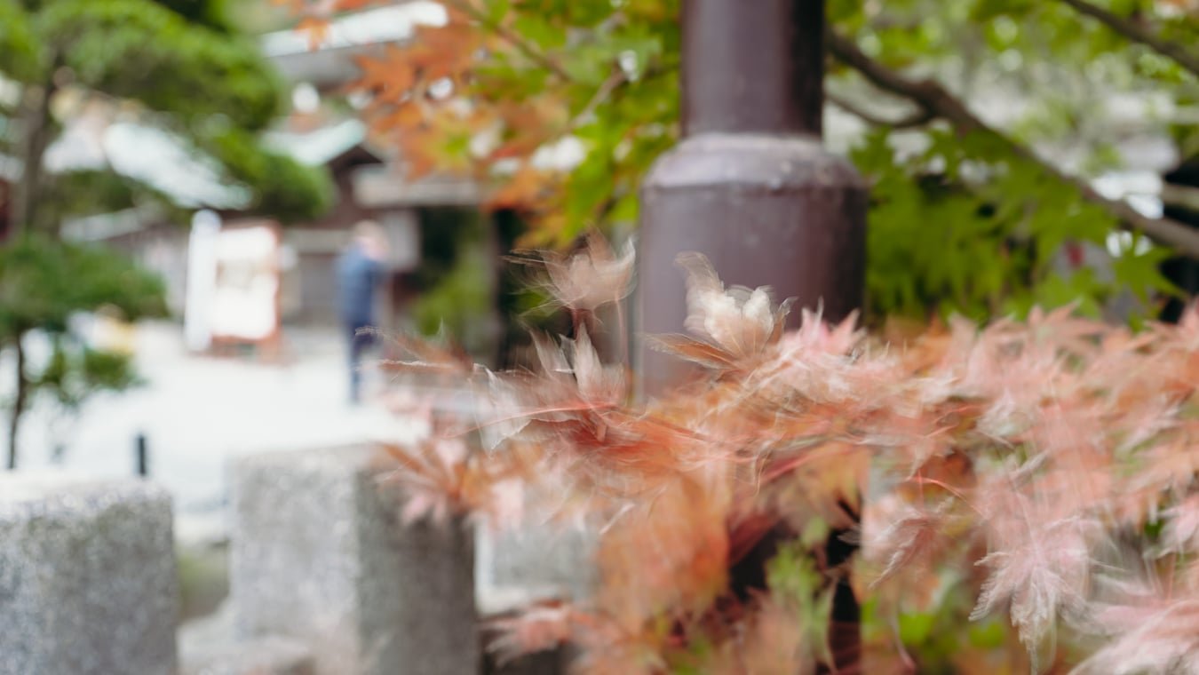 Proposal Photography in West Puerto Rico: A Guide to Capturing the Moment with Intention