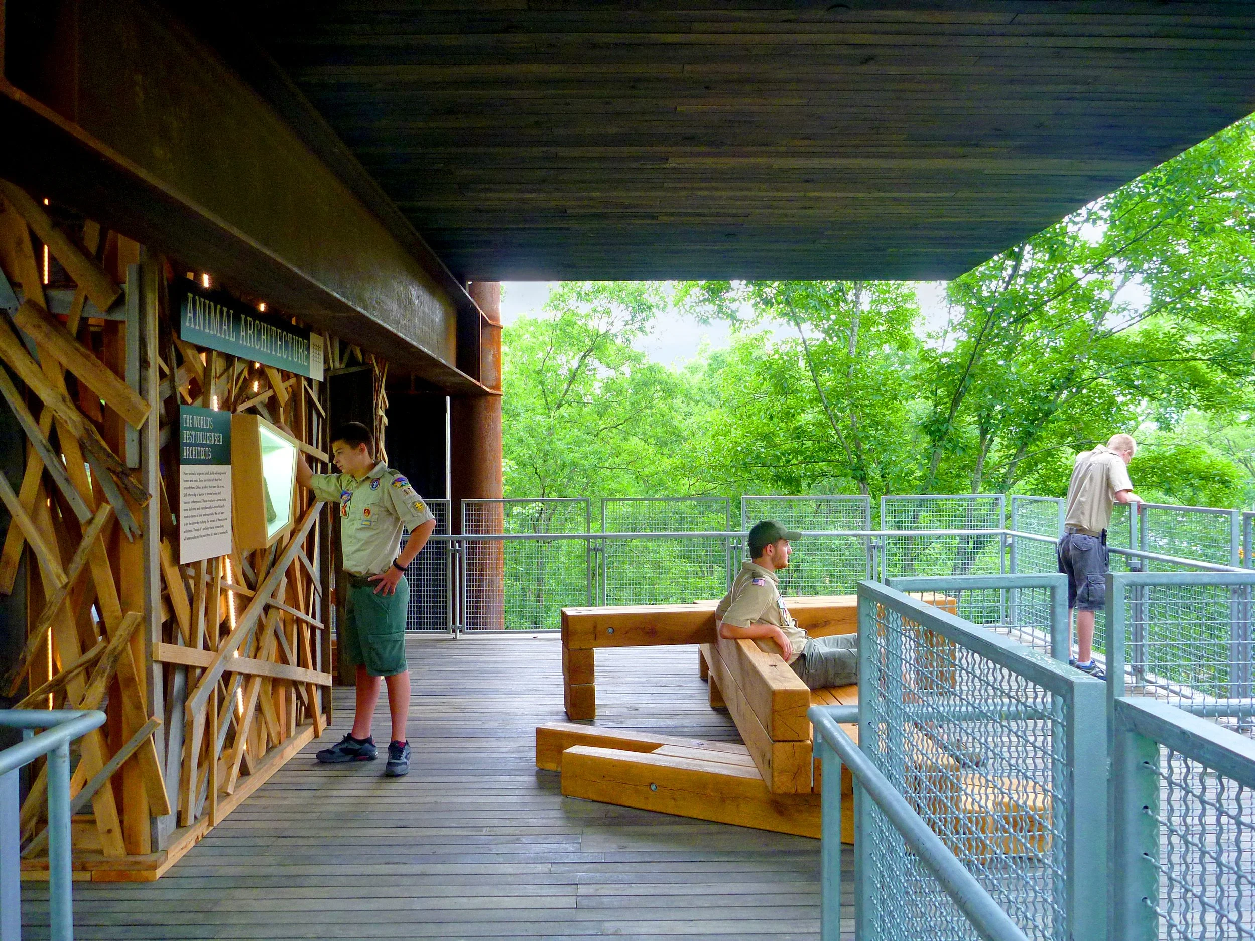 Sustainability-Treehouse05_SusanOlmsted.jpg