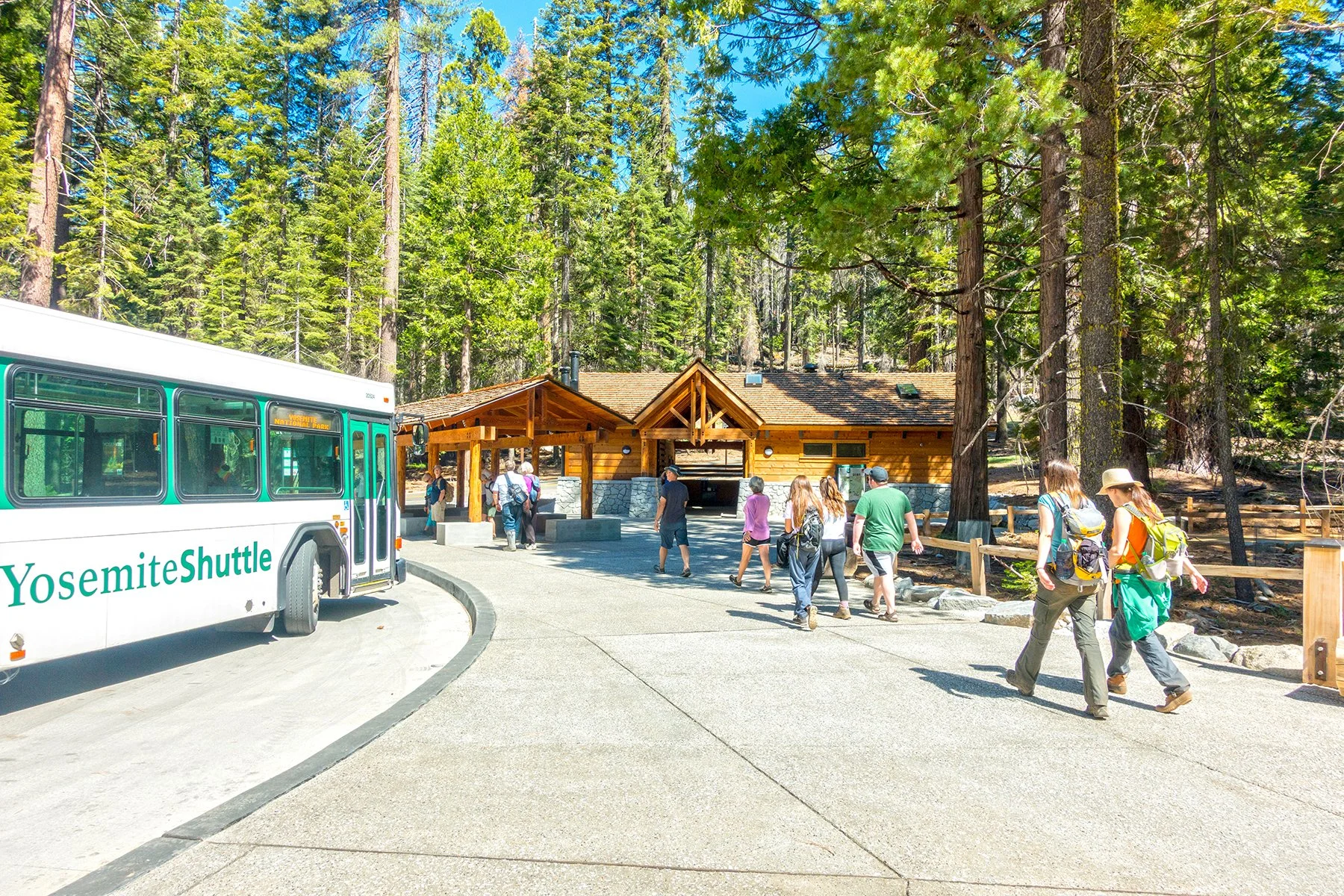 Mariposa-Grove-Arrival_SusanOlmsted_web.jpg