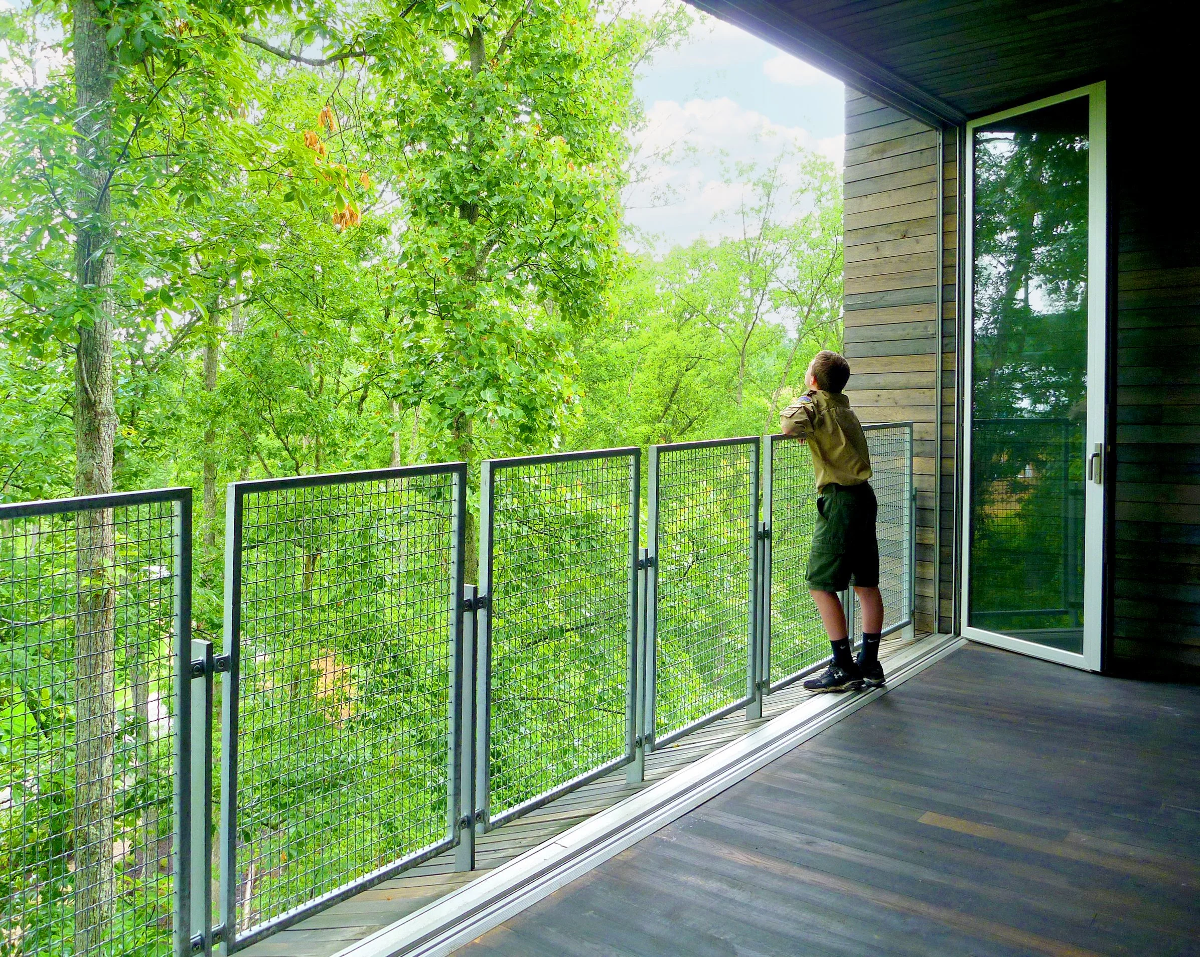 A boy standing on a balcony overlooking a lush green forest.