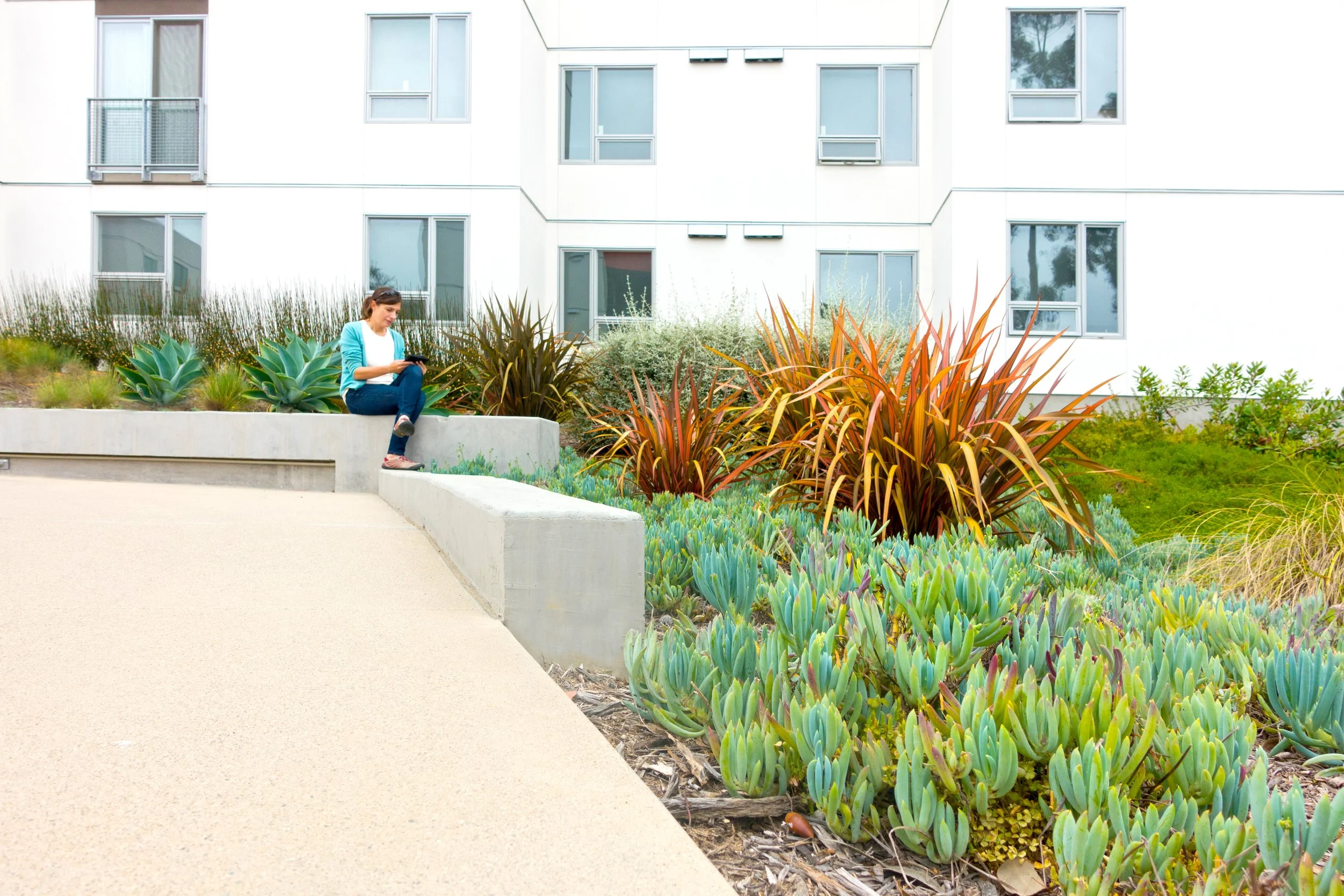 UCSD-path06-Seatwall_SusanOlmsted copy.jpg