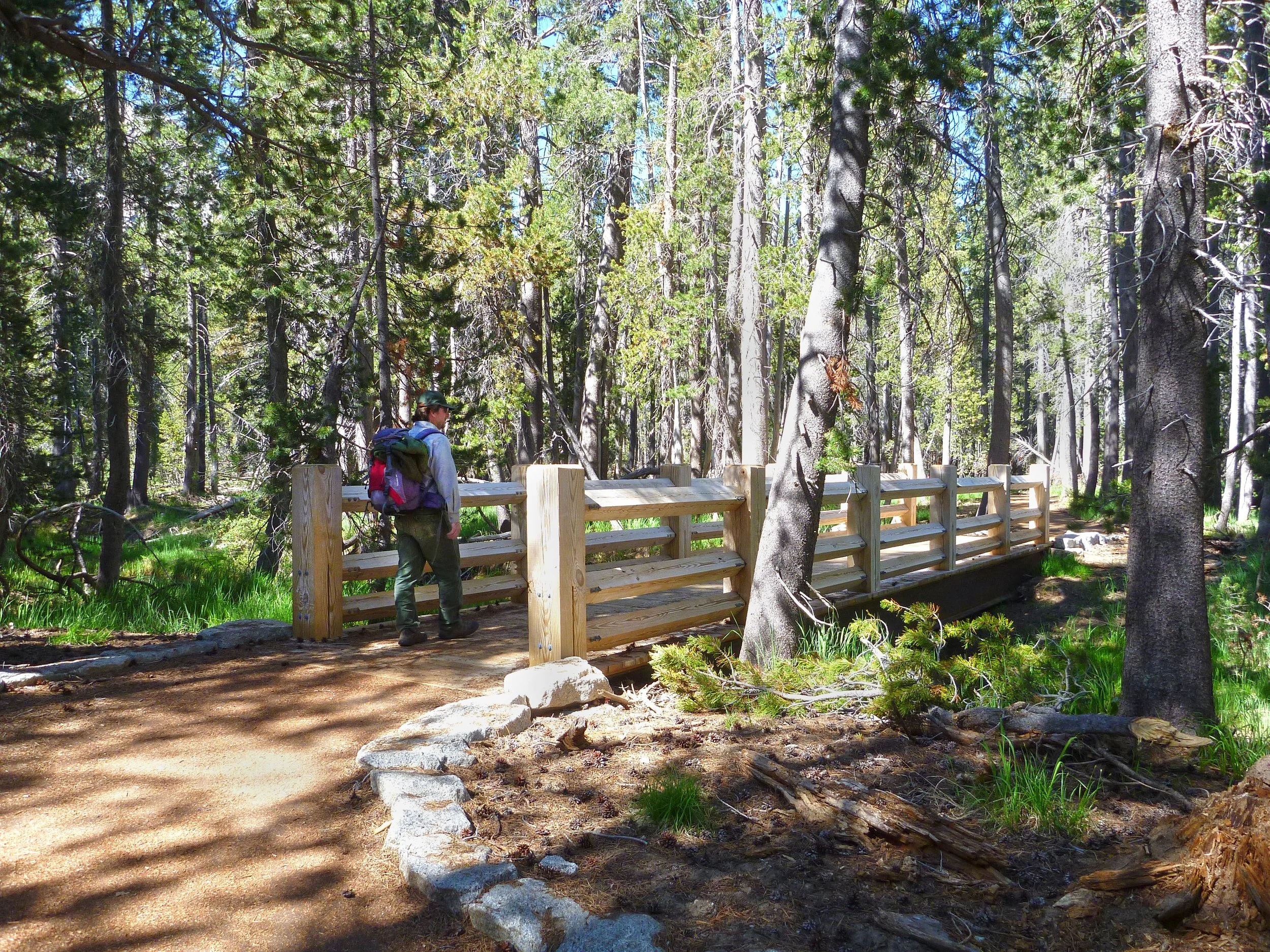Tenaya-boardwalk02_SusanOlmsted.jpg