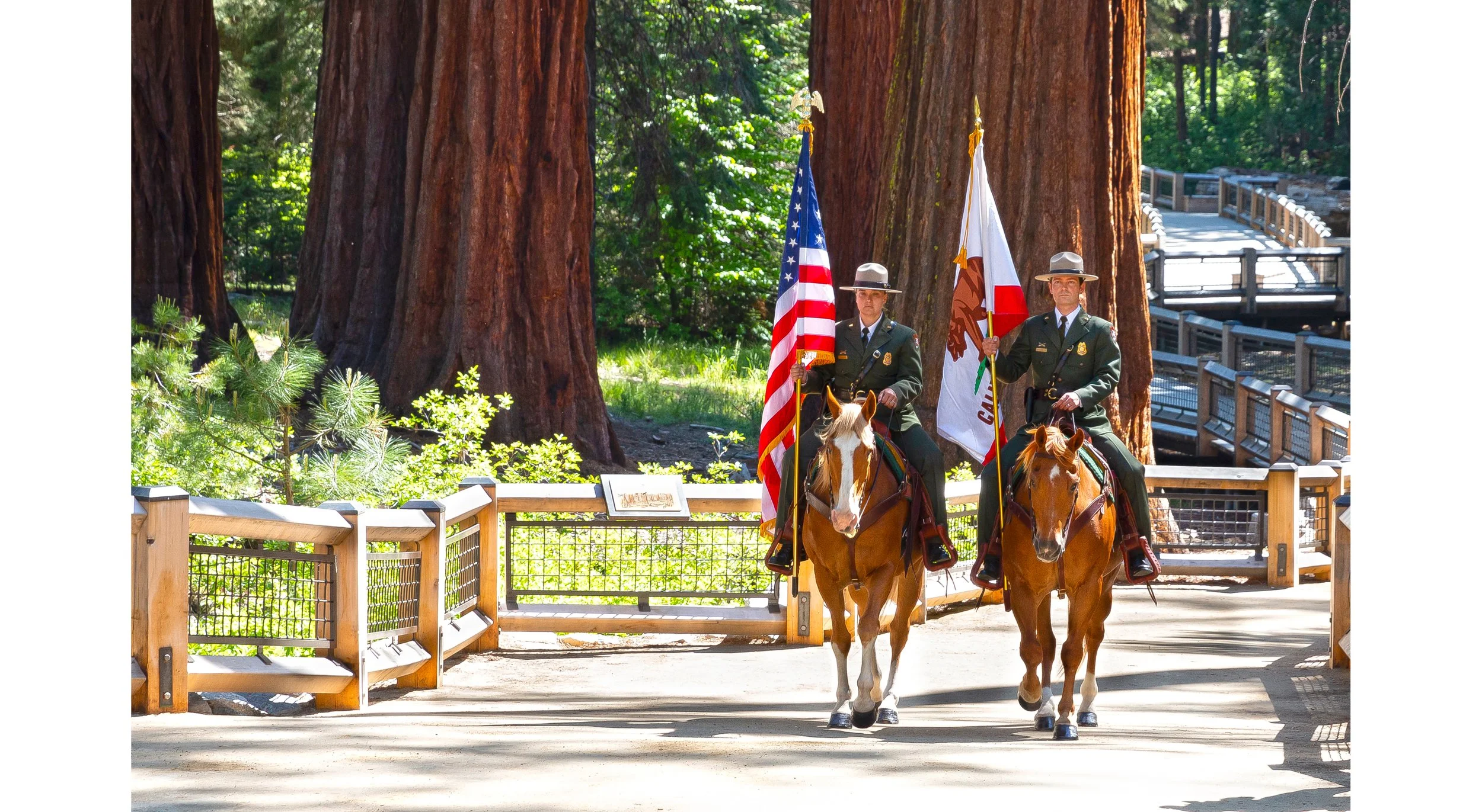 Mariposa-Grove-NPS-grand-opening-2_JimSwenson.jpg