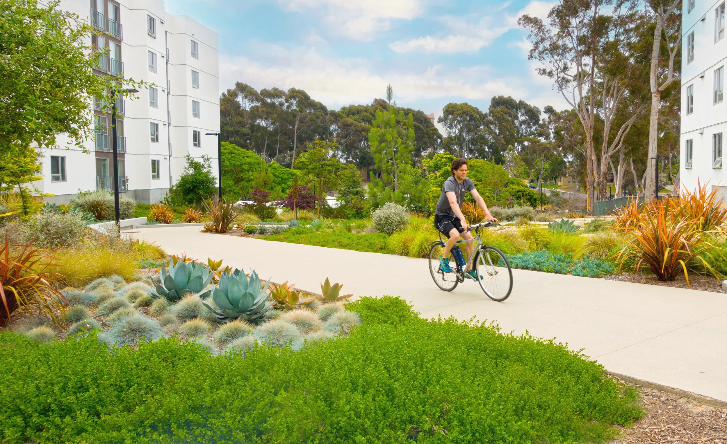 UCSD_accessible-and-bike-path_SusanOlmsted copy.jpg