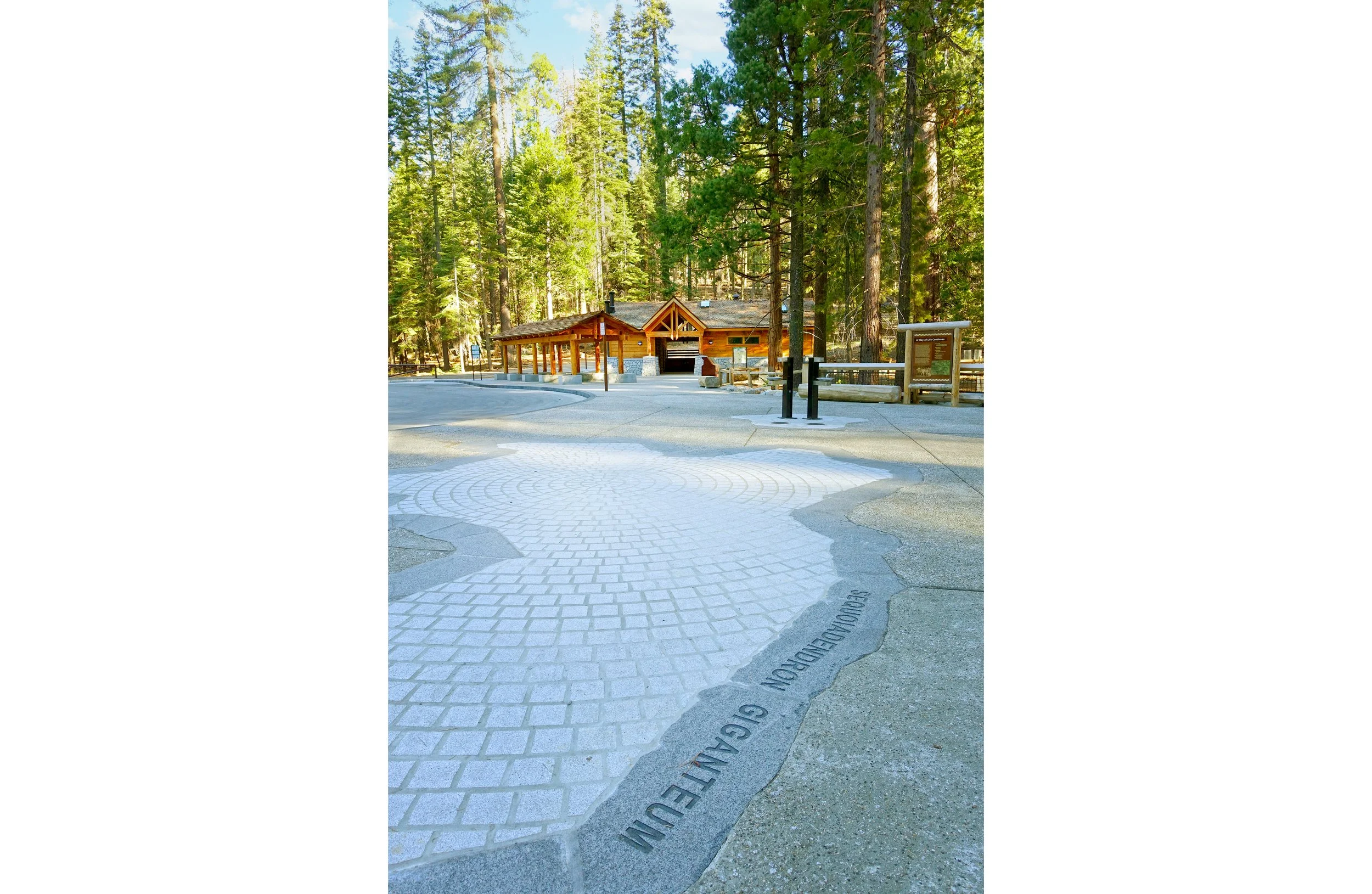 Mariposa-Grove-Arrival-Paving-Detail-vert_SusanOlmsted copy.jpg