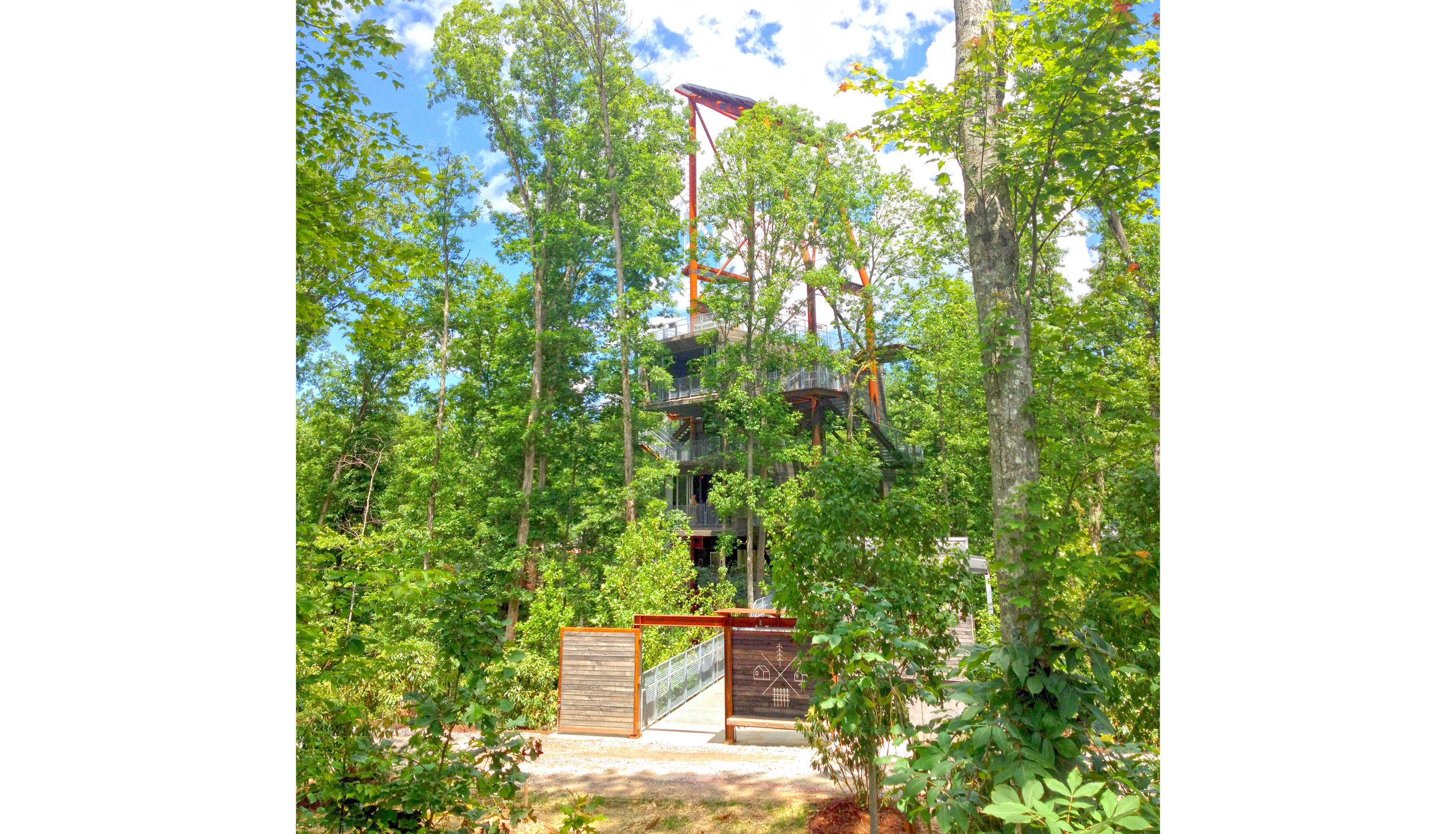 Sustainability-Treehouse01-vert_SusanOlmsted copy.jpg