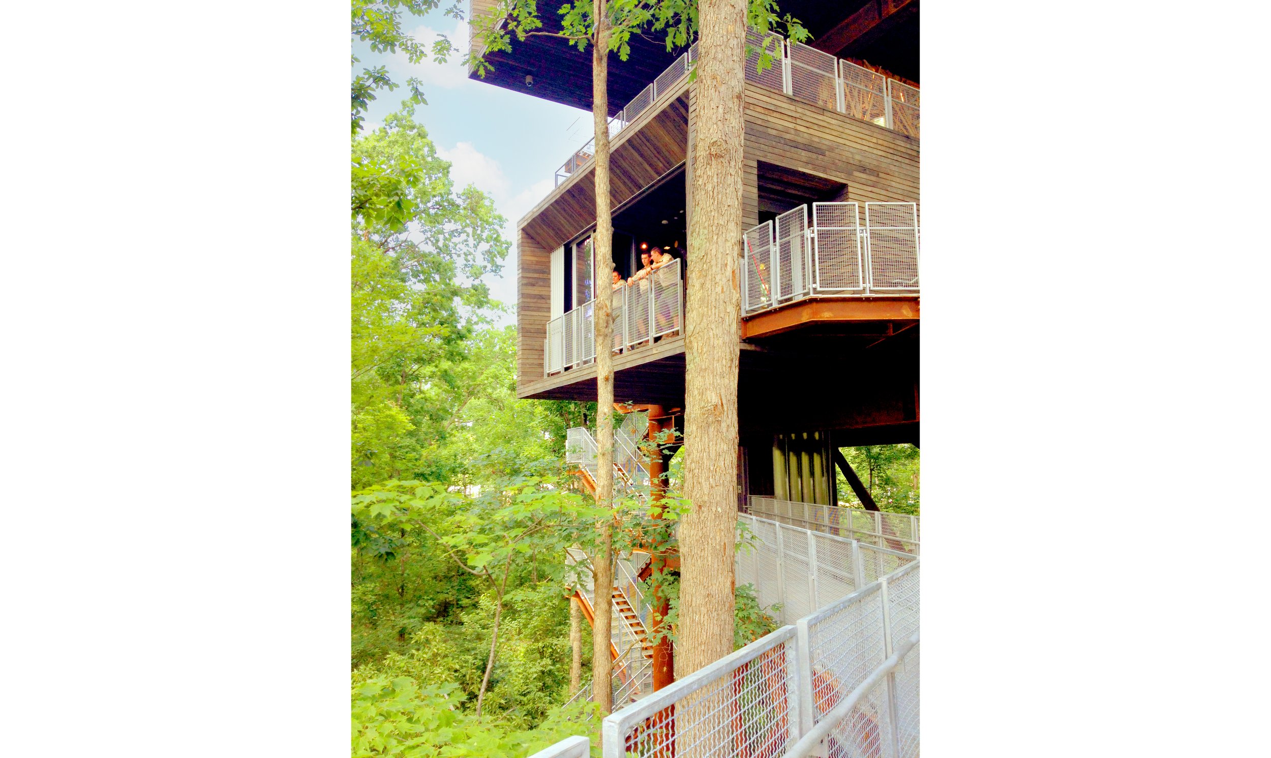Sustainability-Treehouse02-vert_SusanOlmsted copy.jpg