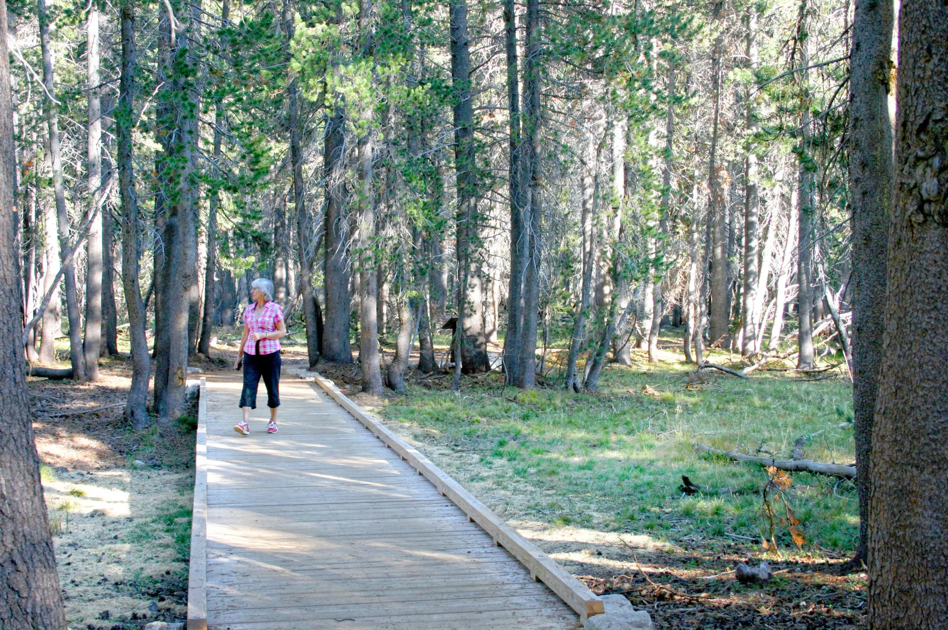 Tenaya-boardwalk01_SusanOlmsted.jpg