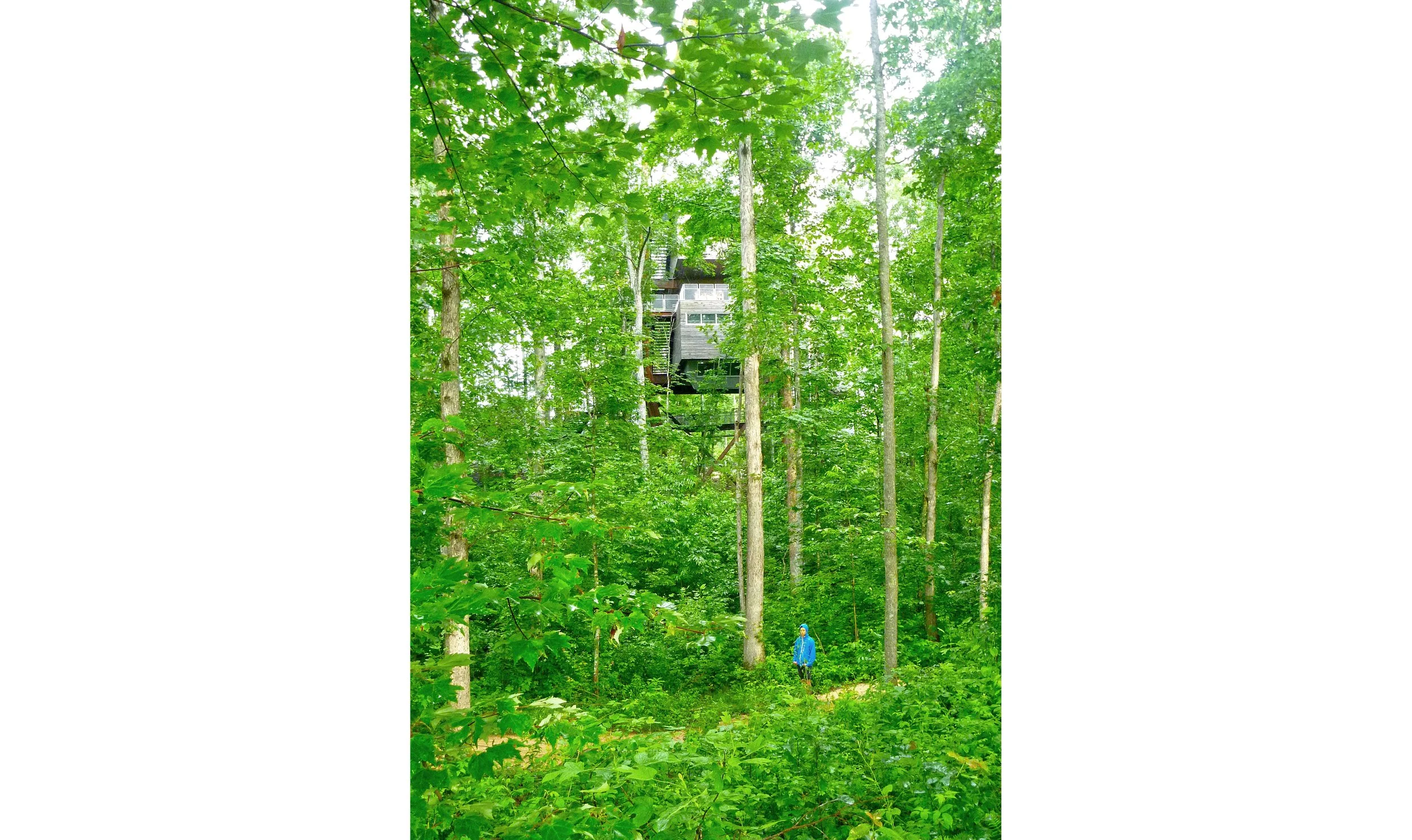 Sustainability-Treehouse07_SusanOlmsted.jpg