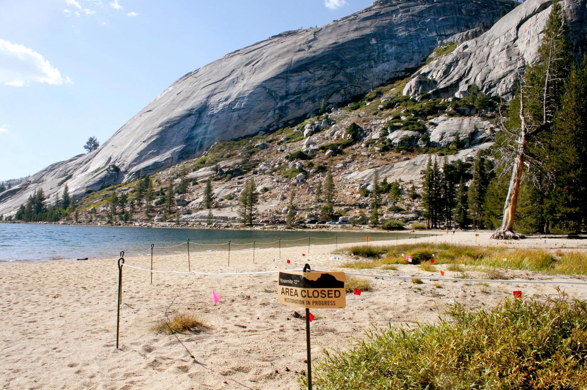Tenaya-Lake-East-Beach-Restoration02_SusanOlmsted.jpg