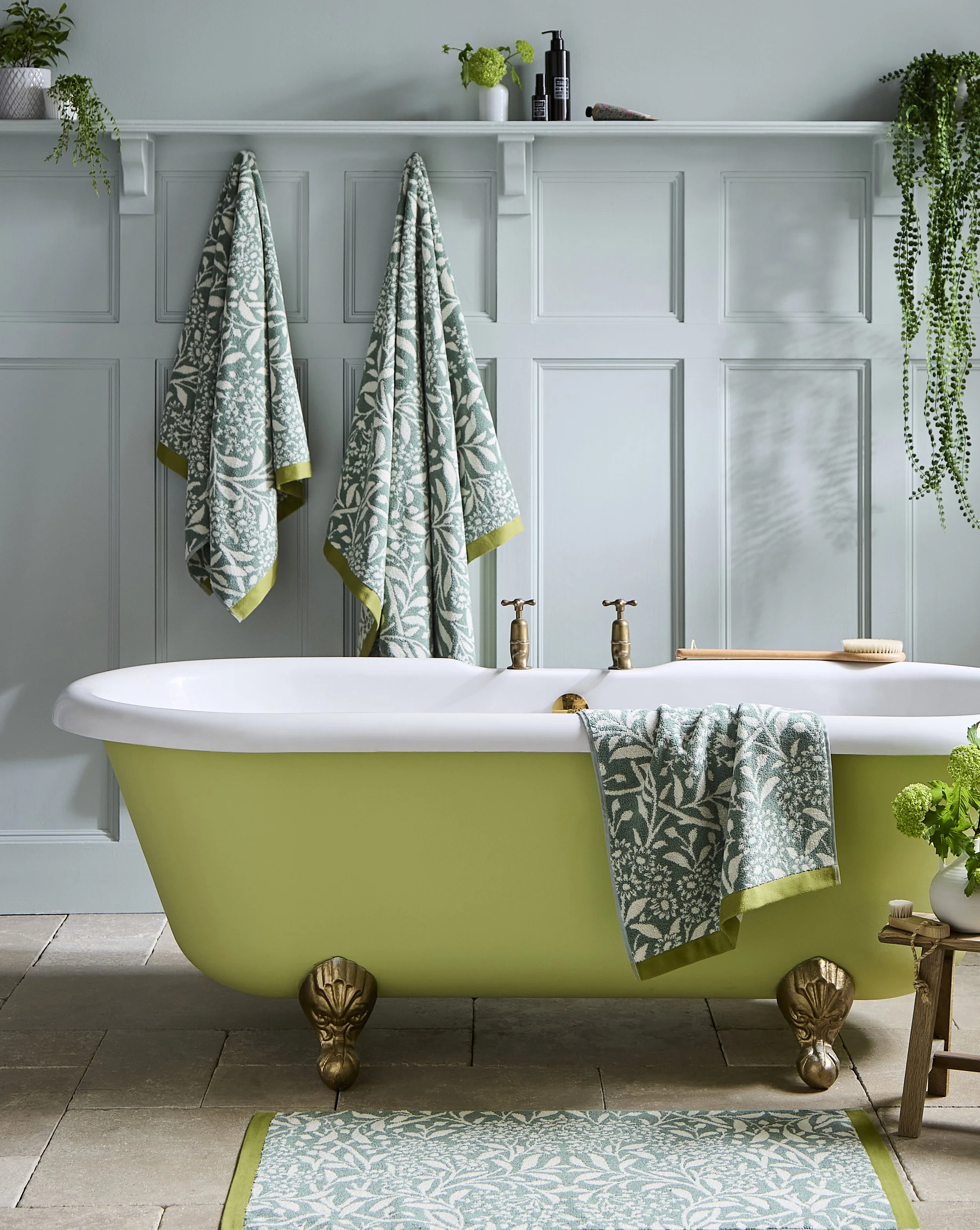 Michaelmas daisy Main.jpg