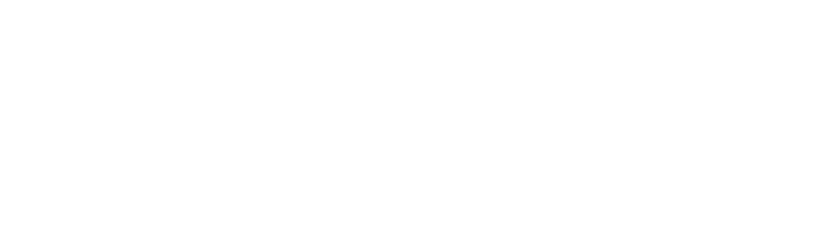Simple Plan Madison Logo.png