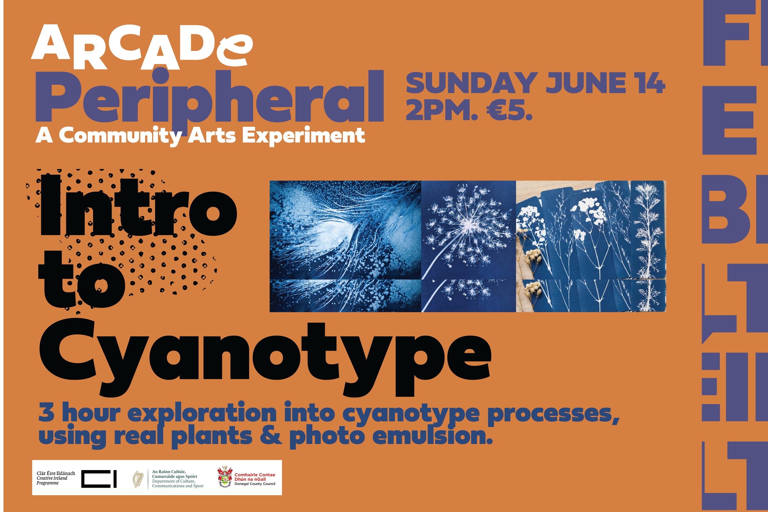 Cyanotype Workshop (16+/Adult) 