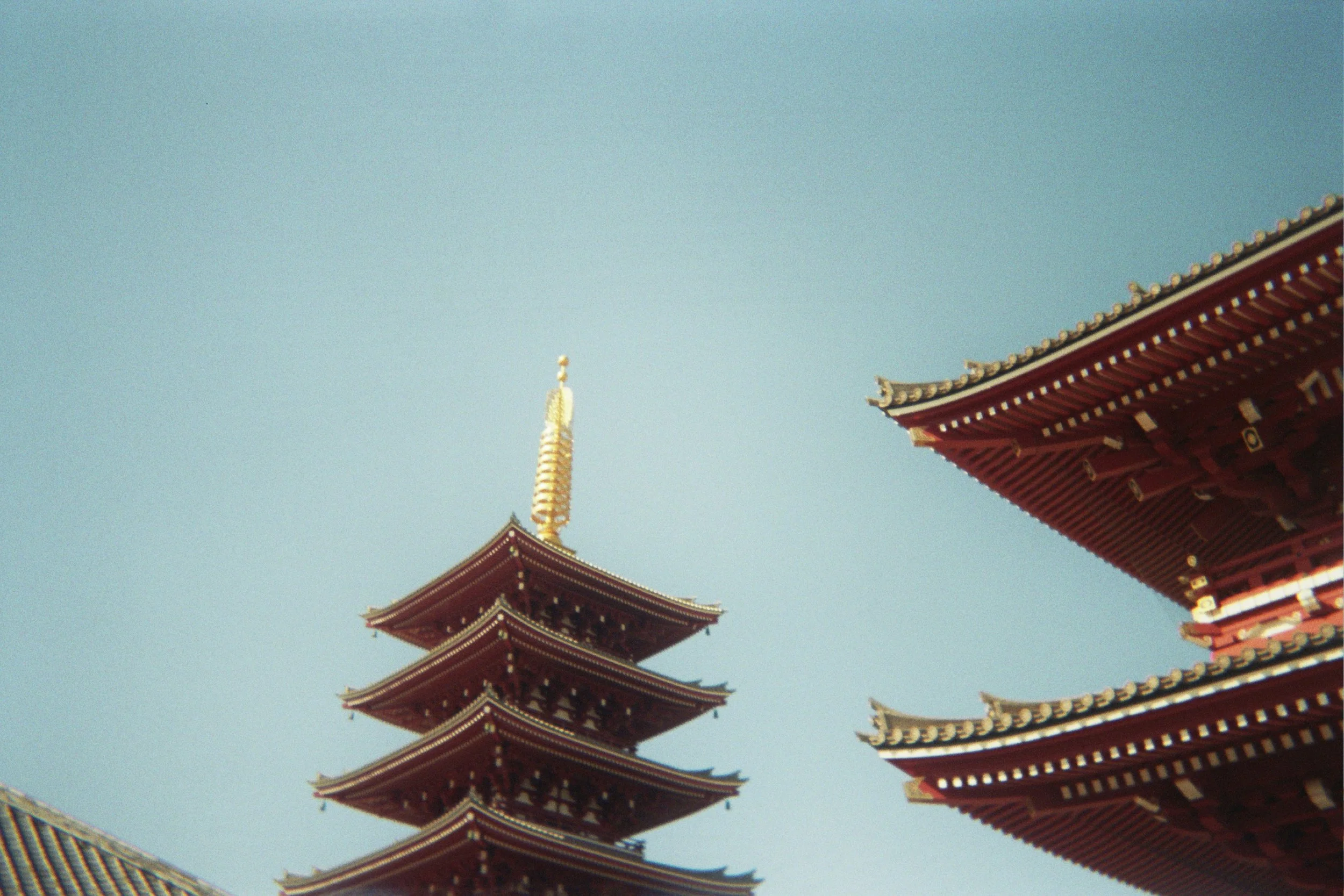 _6A_0083.jpg
