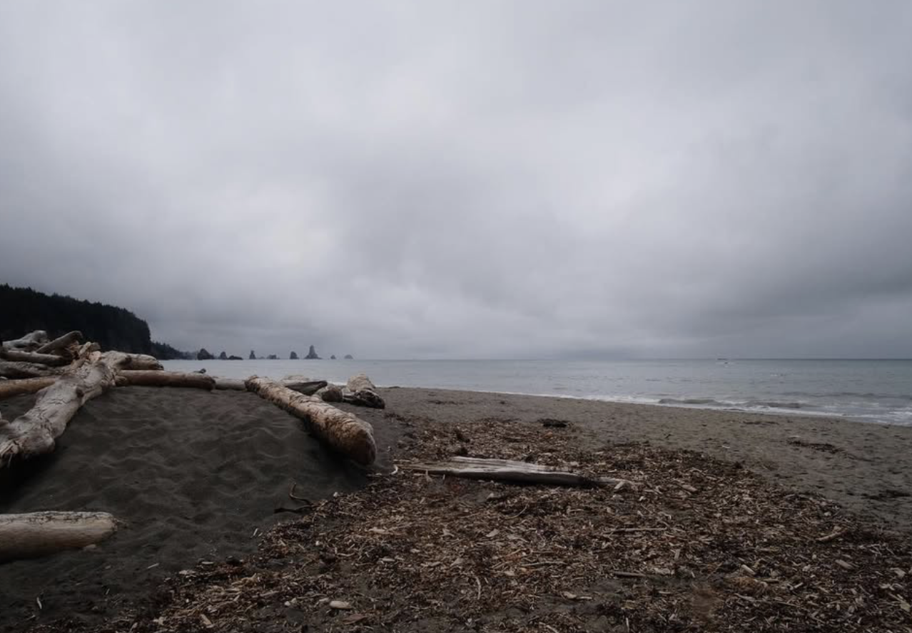 Screenshot 2026-01-18 at 11.18.32 AM.png