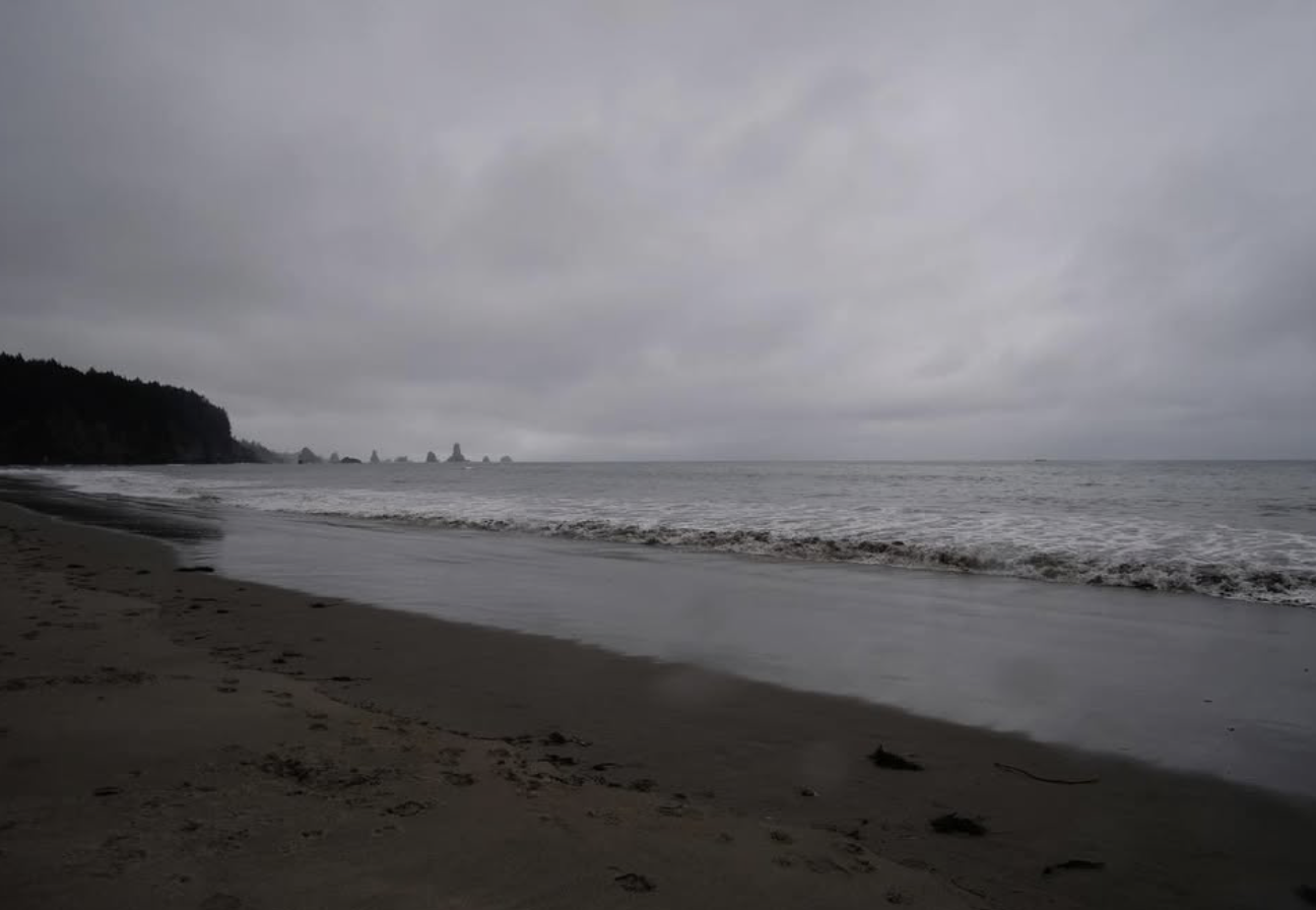 Screenshot 2026-01-18 at 11.18.48 AM.png