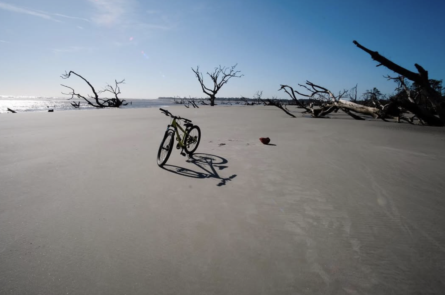 Screenshot 2026-01-18 at 11.20.21 AM.png