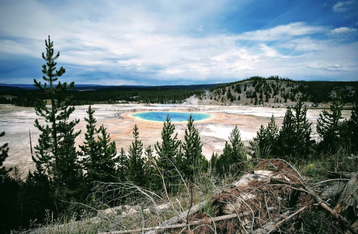 Screenshot 2026-01-18 at 11.20.33 AM.png