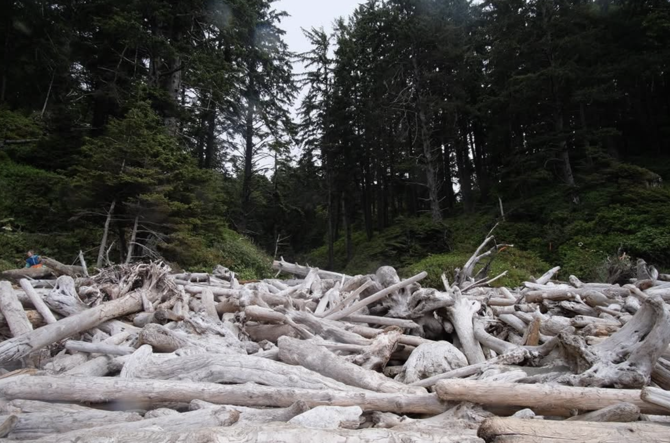 Screenshot 2026-01-18 at 11.18.23 AM.png