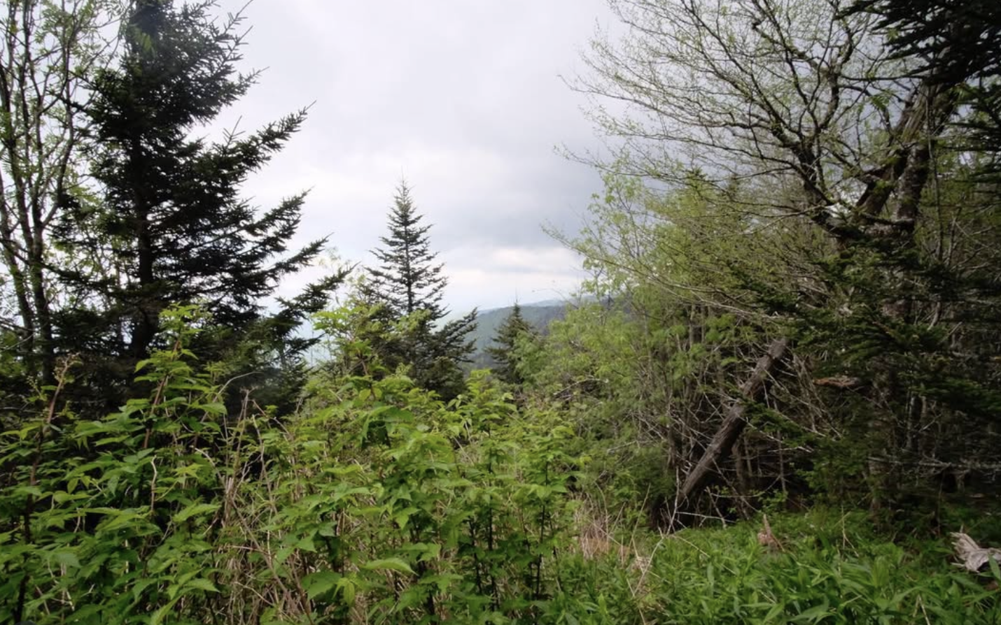 Screenshot 2026-01-18 at 11.22.48 AM.png