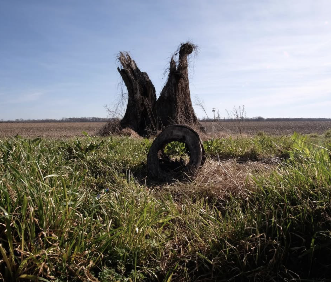 Screenshot 2026-01-18 at 11.17.43 AM.png