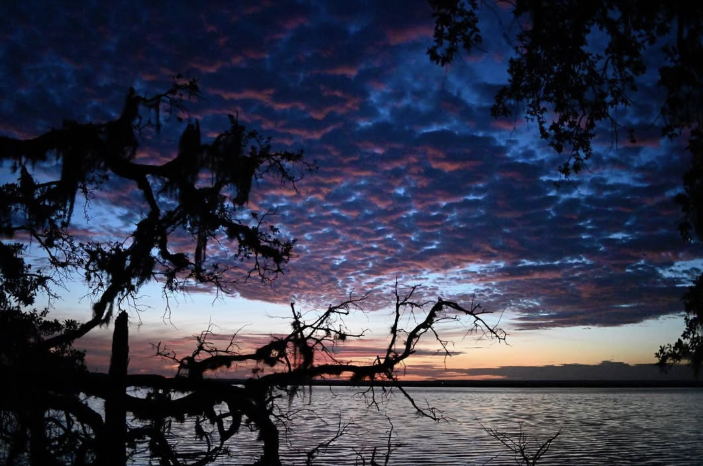 Screenshot 2026-01-18 at 11.21.34 AM.png