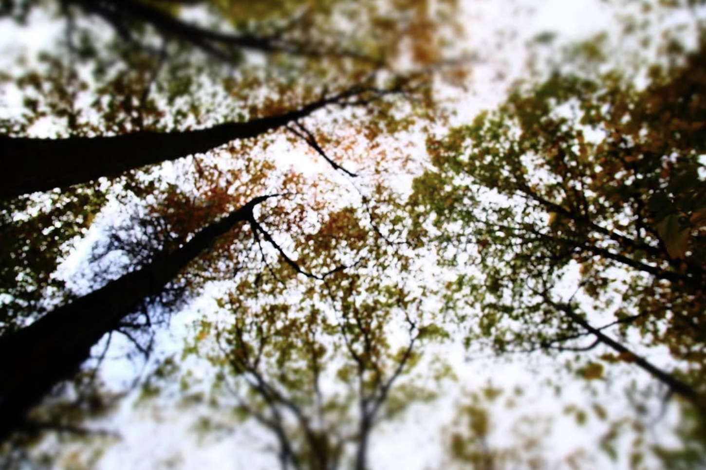 Screenshot 2026-01-18 at 11.21.51 AM.png