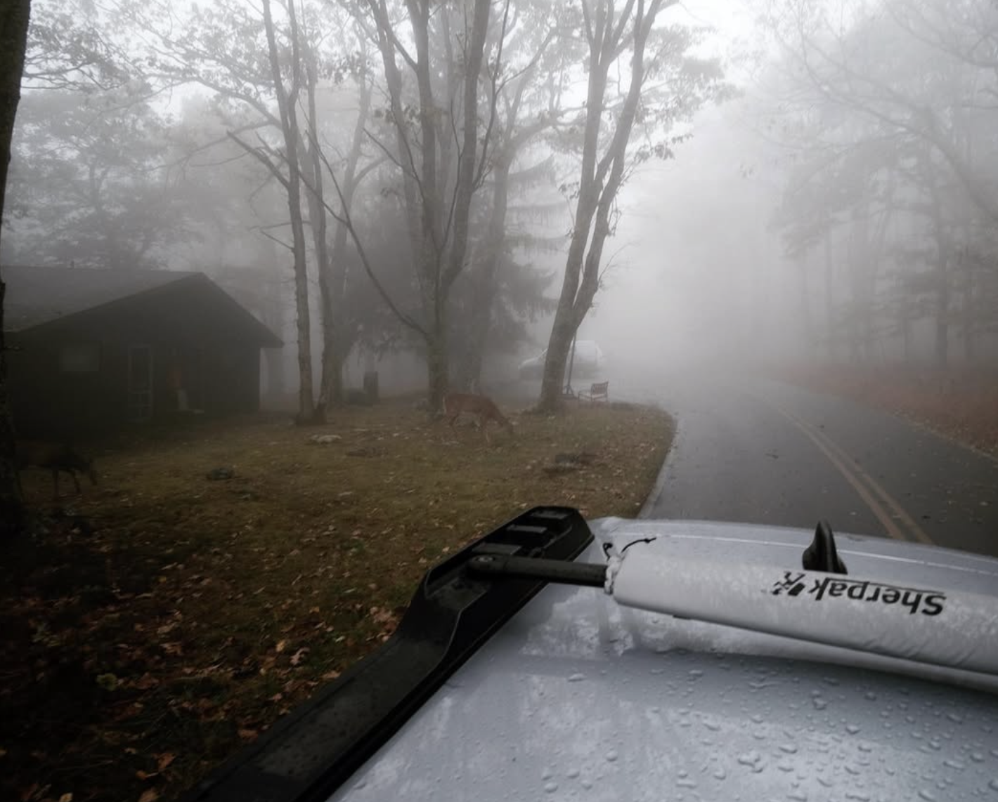 Screenshot 2026-01-18 at 11.21.08 AM.png