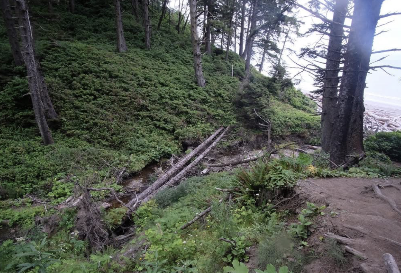 Screenshot 2026-01-18 at 11.18.59 AM.png