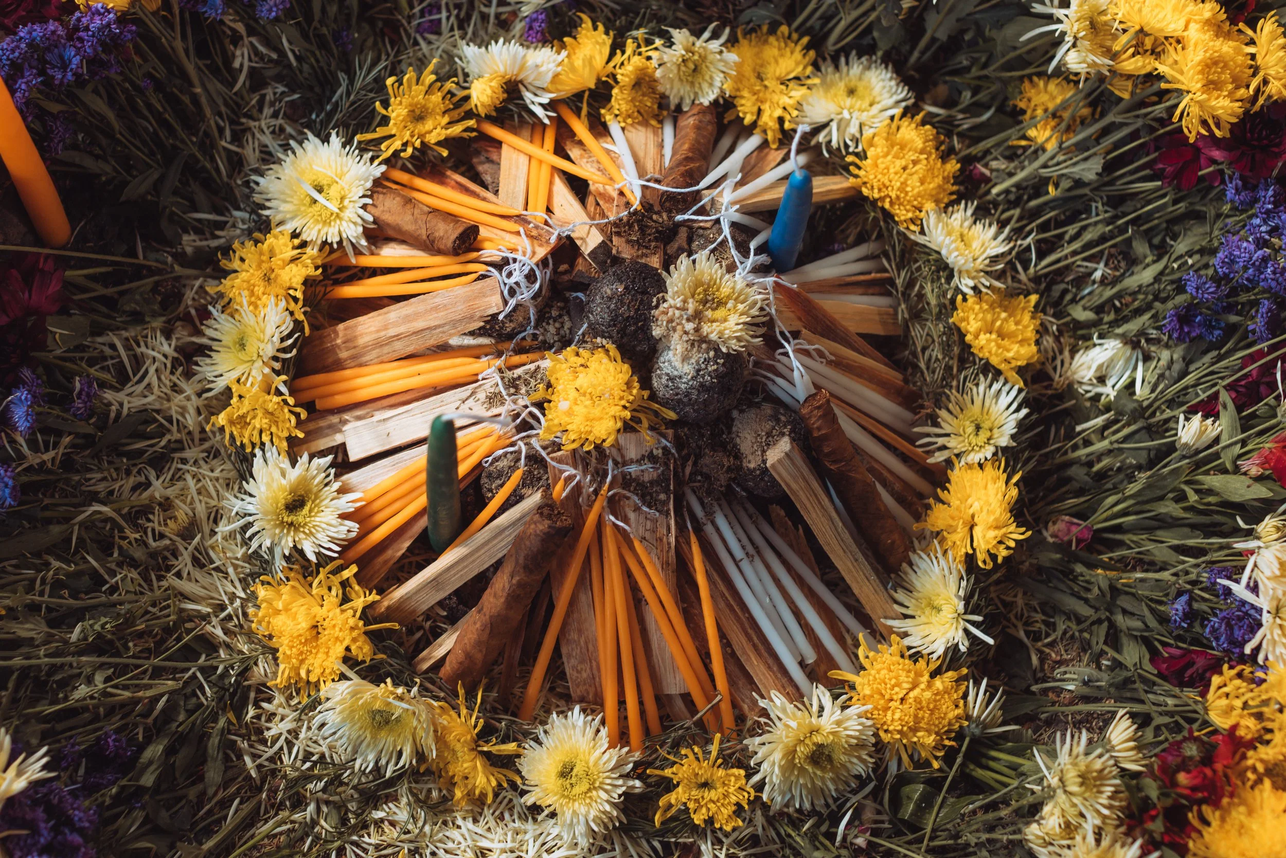 NS-Cass & Cory - -1.jpeg