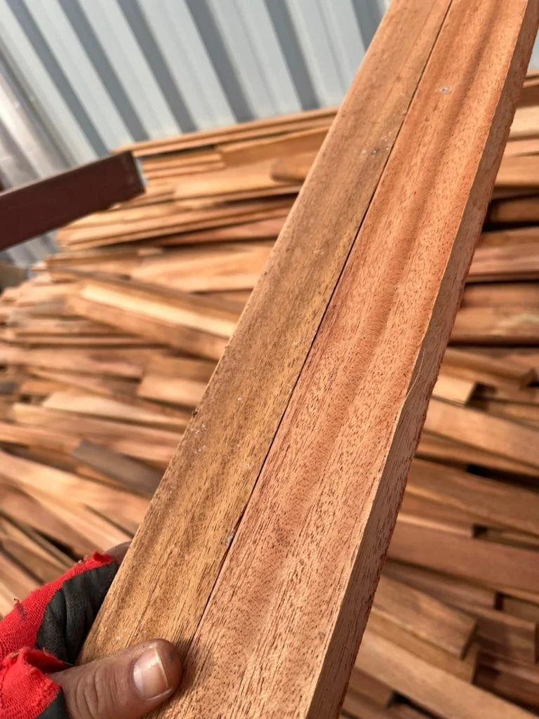 WhatsApp Image 2026-01-22 at 14.29.44.jpeg