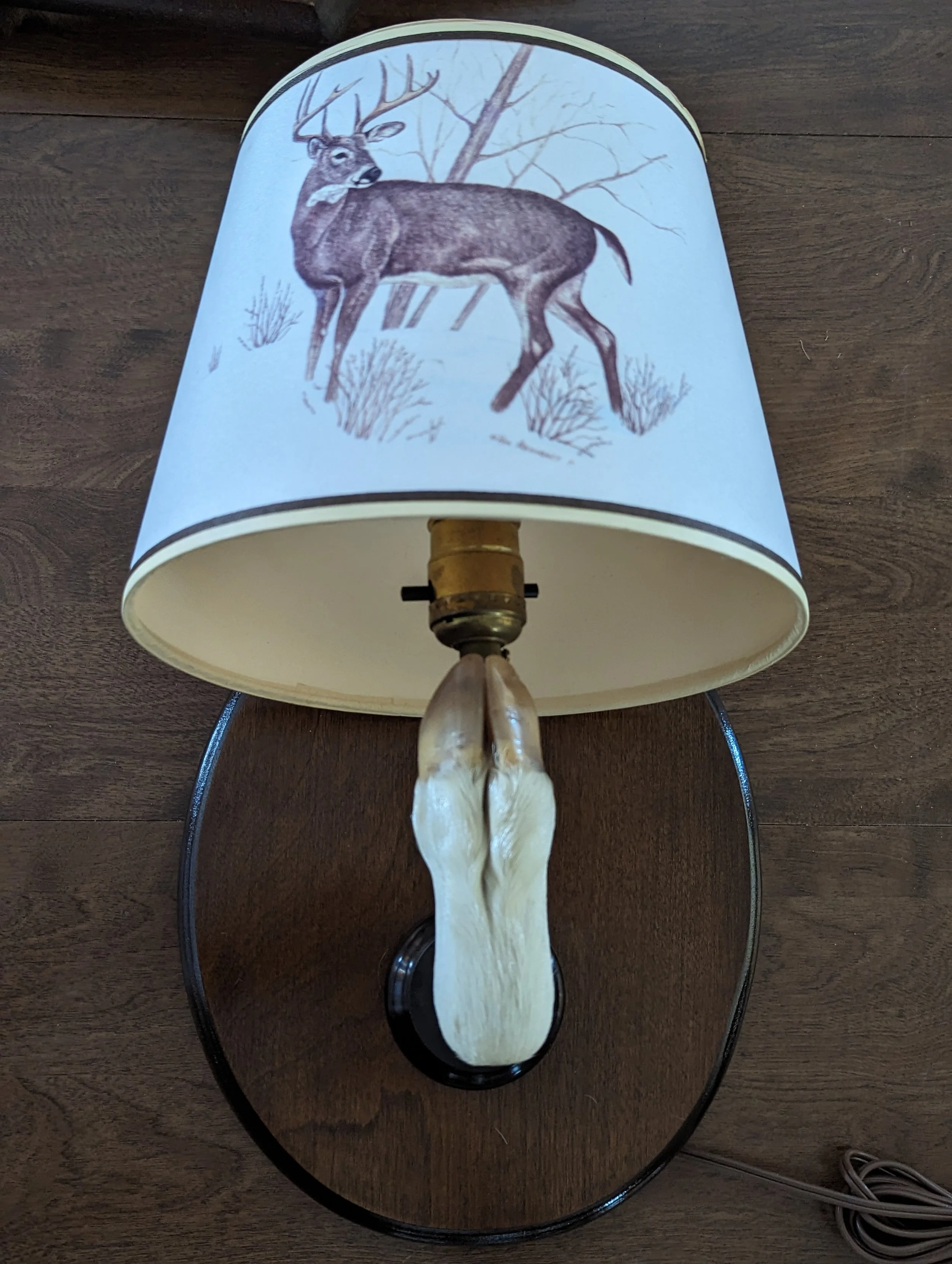 Albino Whitetail Deer Hoof Wall lamp